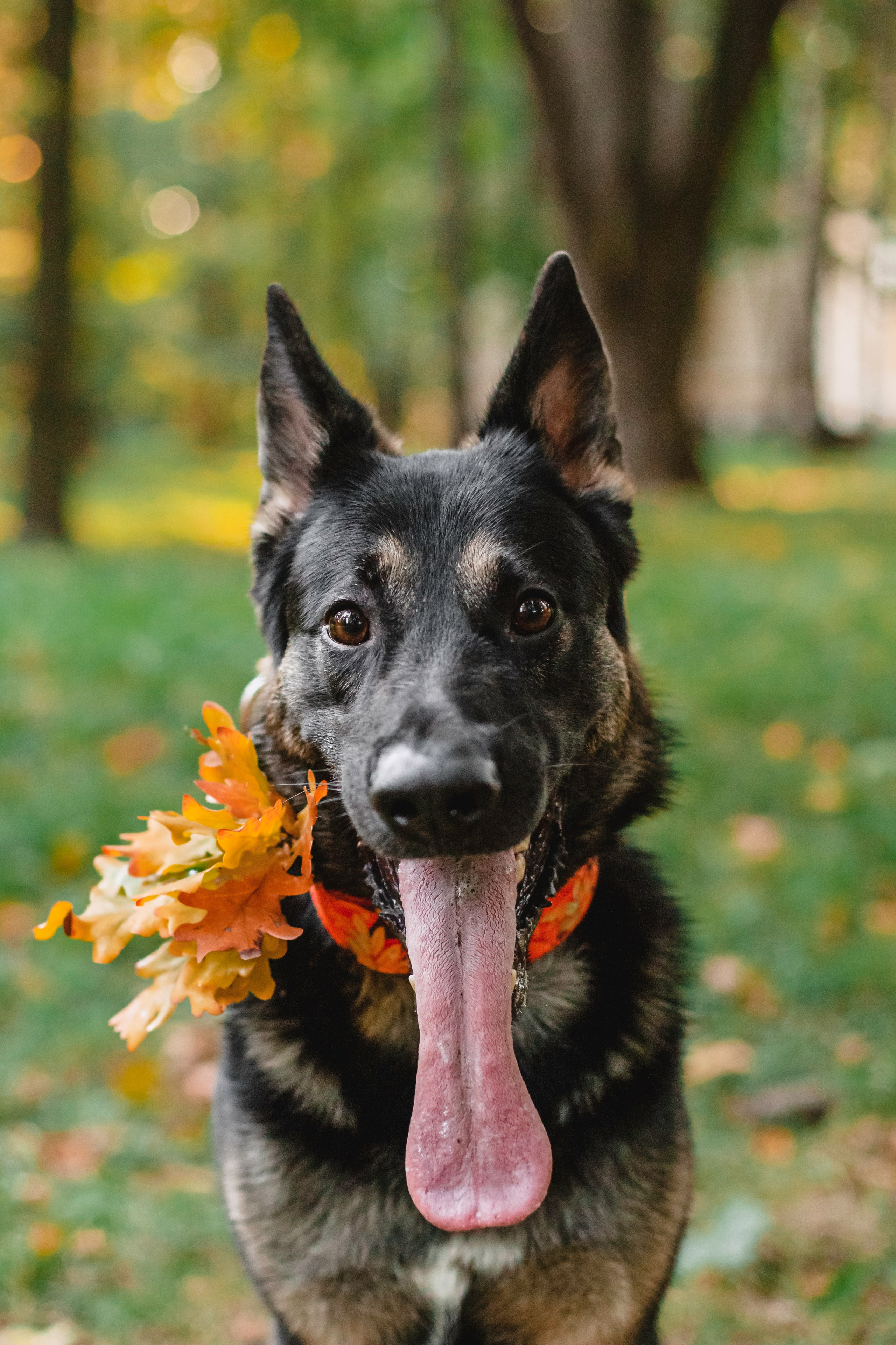 Илай. Фотограф-анималист Татьяна Степанова