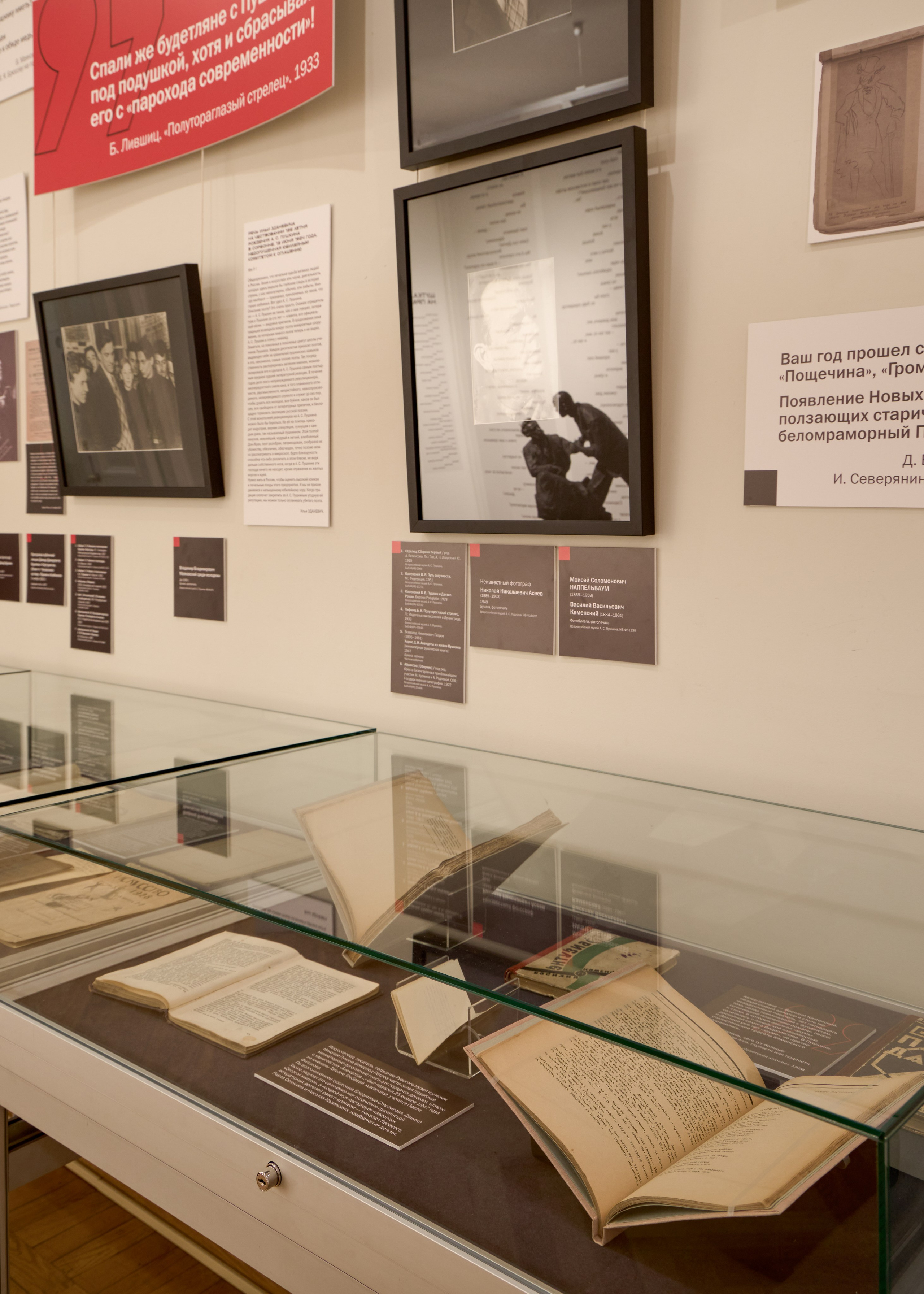 Победа над солнцем: А. С. Пушкин и русский авангард. Mikhail Kurganov