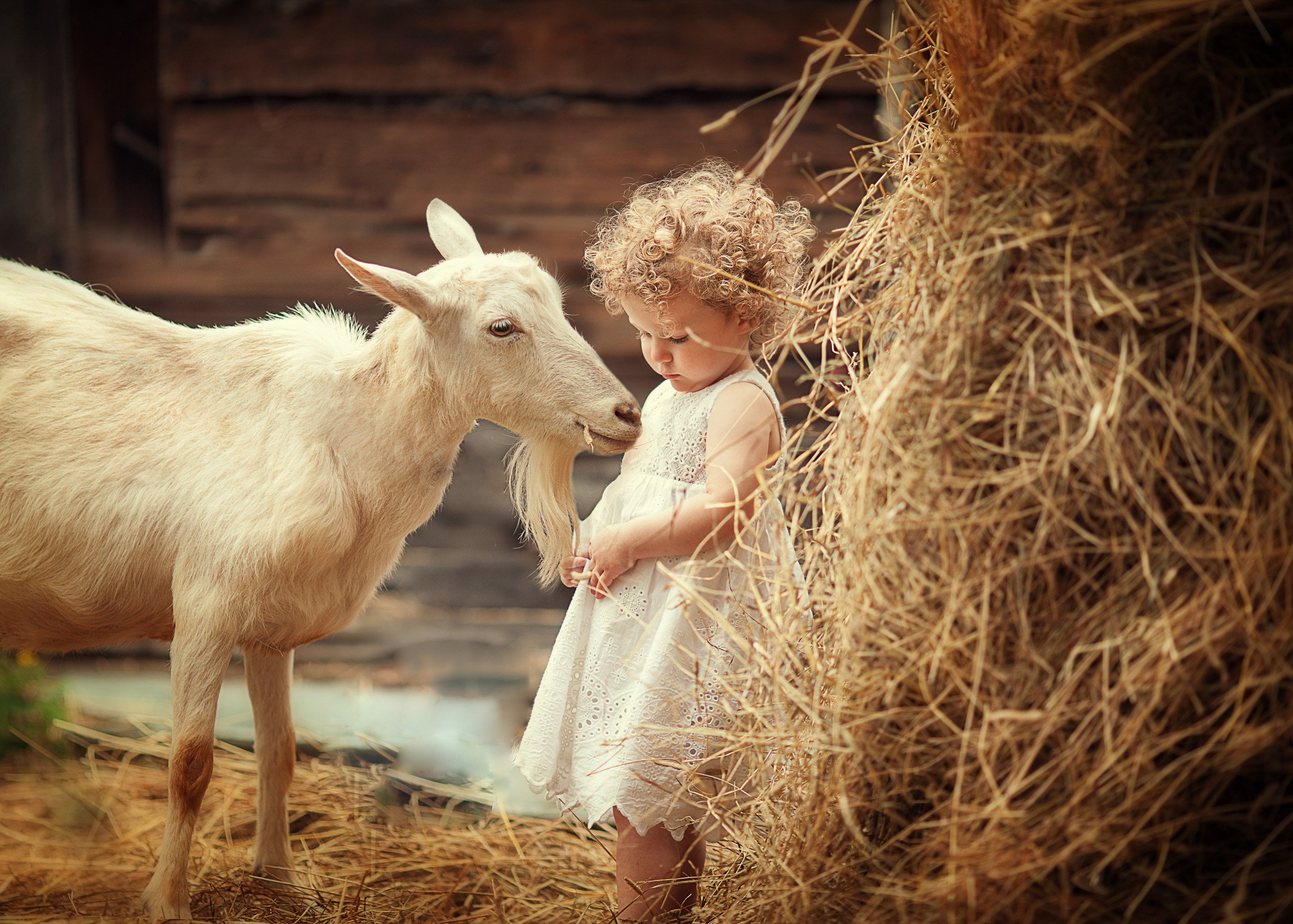Фотосессии с животными. Детский и семейный фотограф Муксимова Ирина