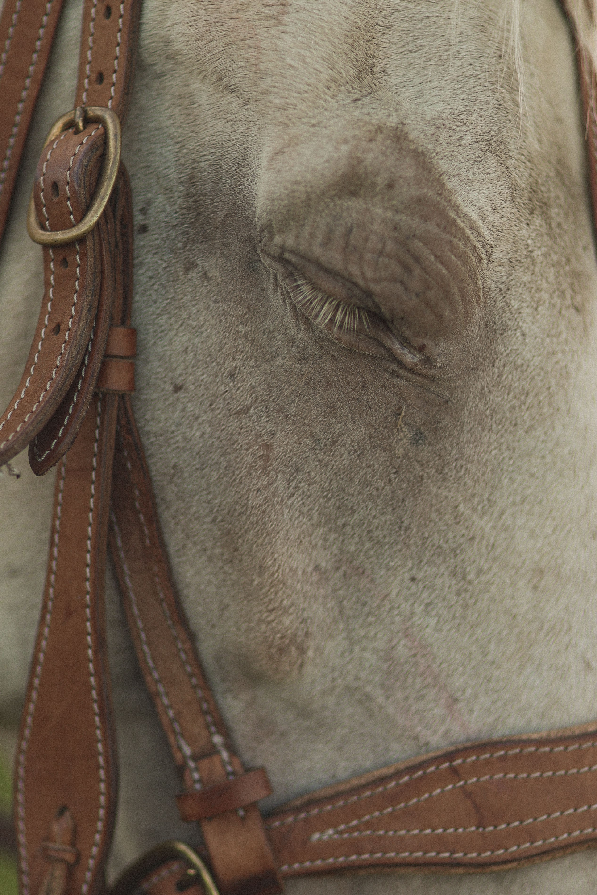 Ксения. Детский и семейный фотограф, съемка новорожденных Москва