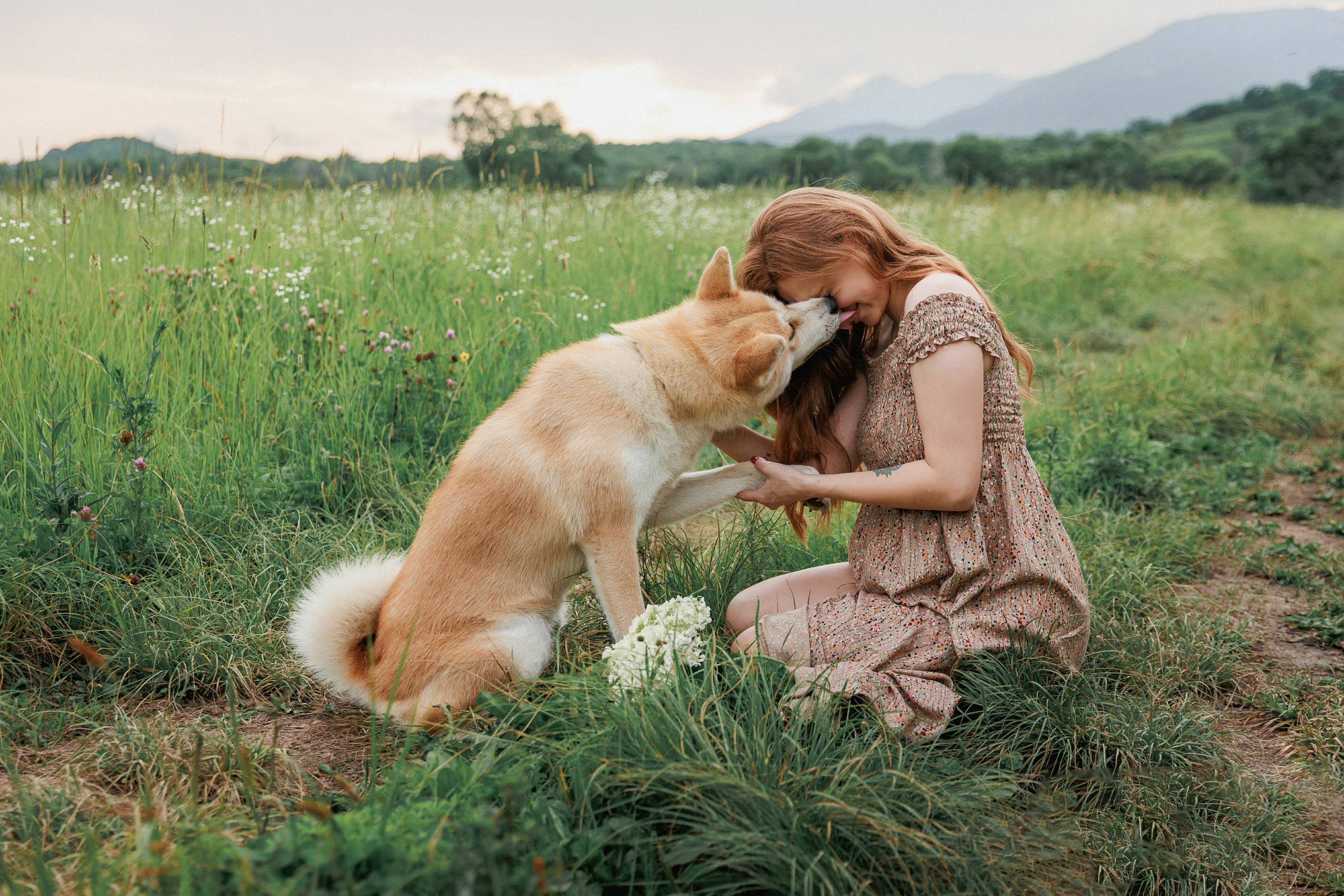 В ожидании. Свадебный, семейный и детский фотограф в городе Партизанск, Находка