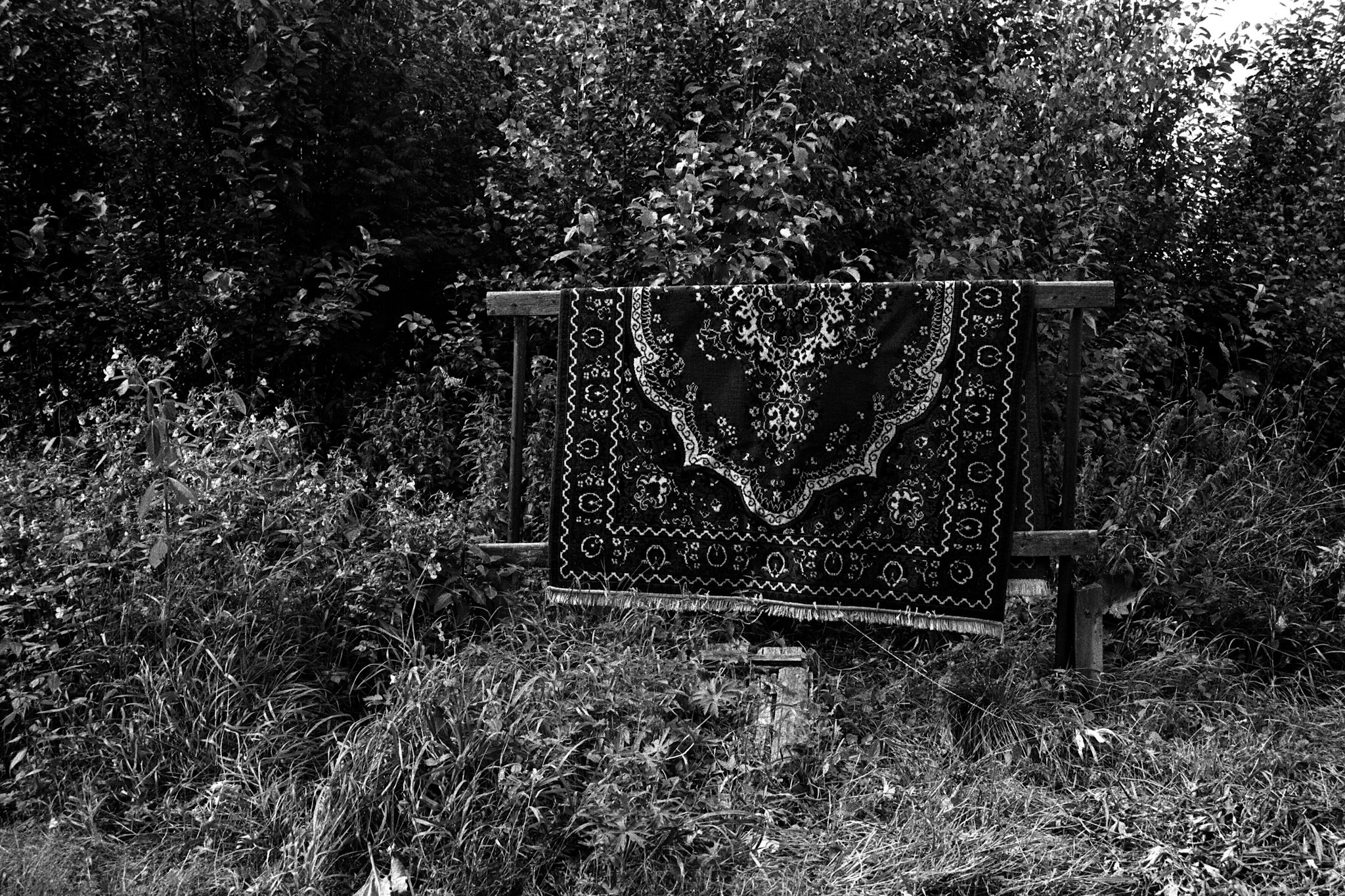 Photoproject "Kego Island". Ekaterina Solovieva photographer