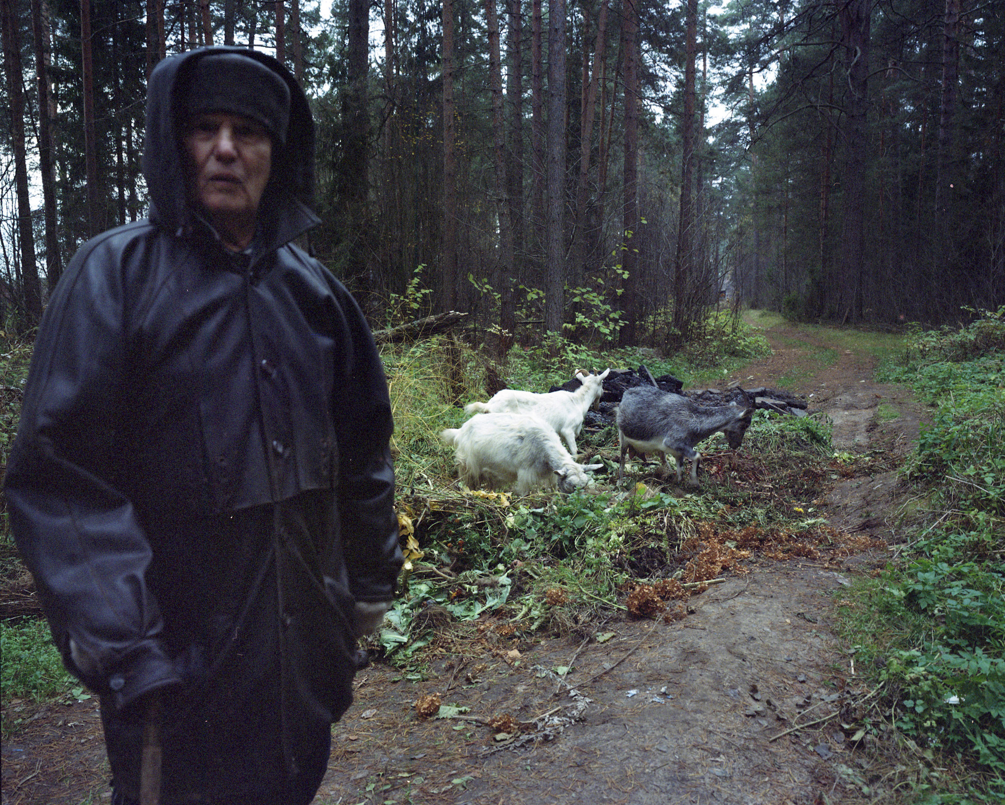 Photoproject "Tverin Karjala". Ekaterina Solovieva photographer