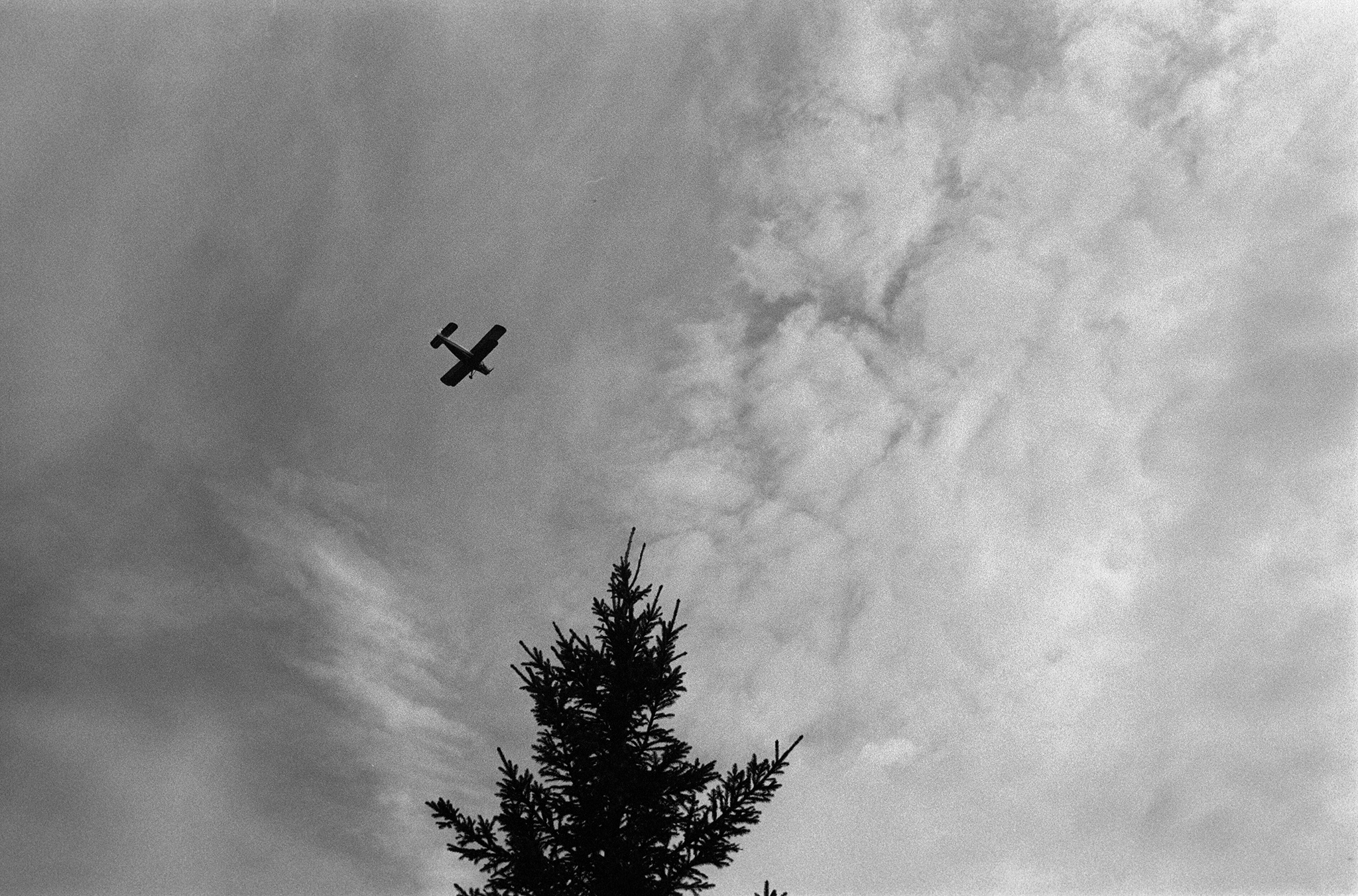 Photoproject "Kego Island". Ekaterina Solovieva photographer