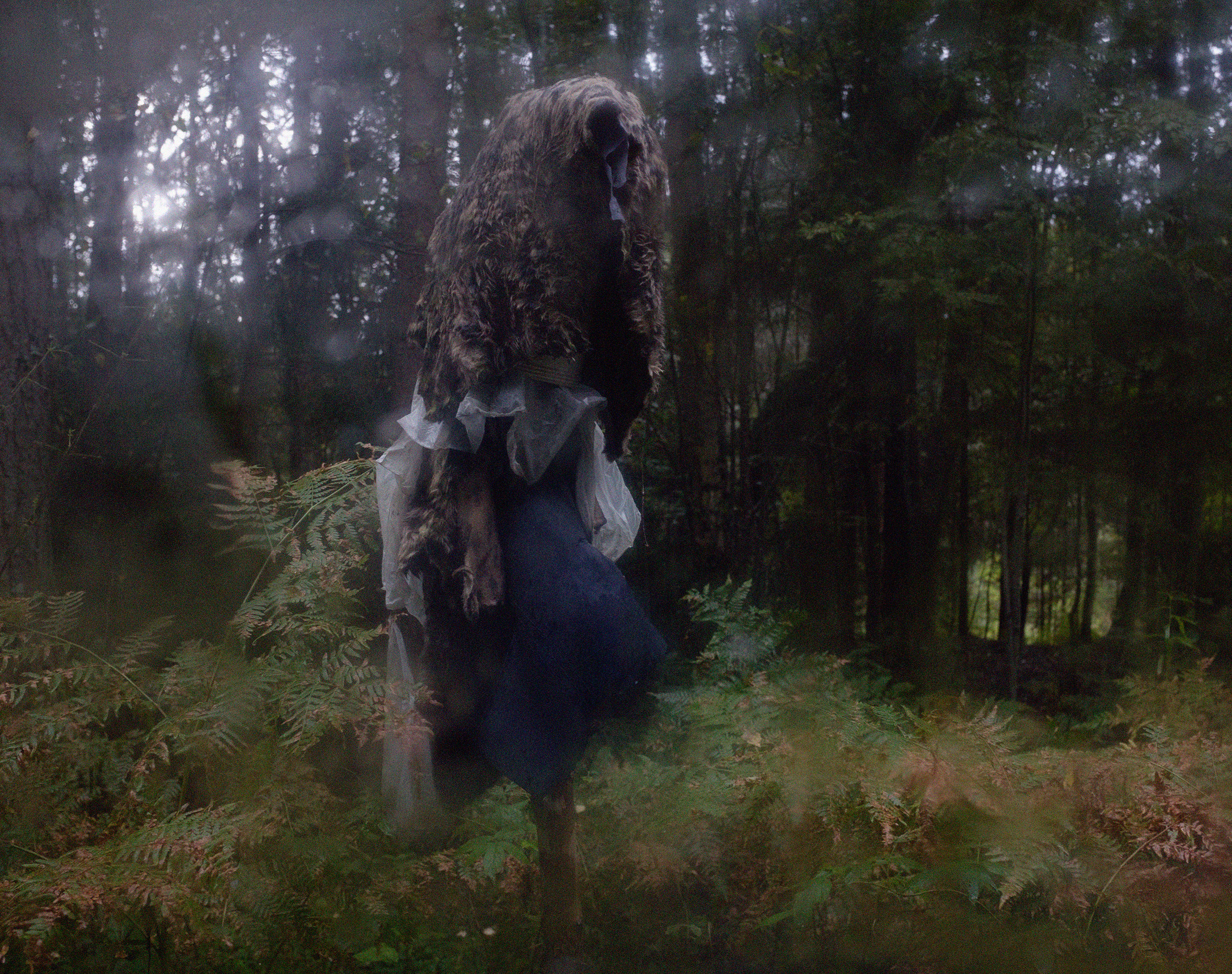 Photoproject "Tverin Karjala". Ekaterina Solovieva photographer