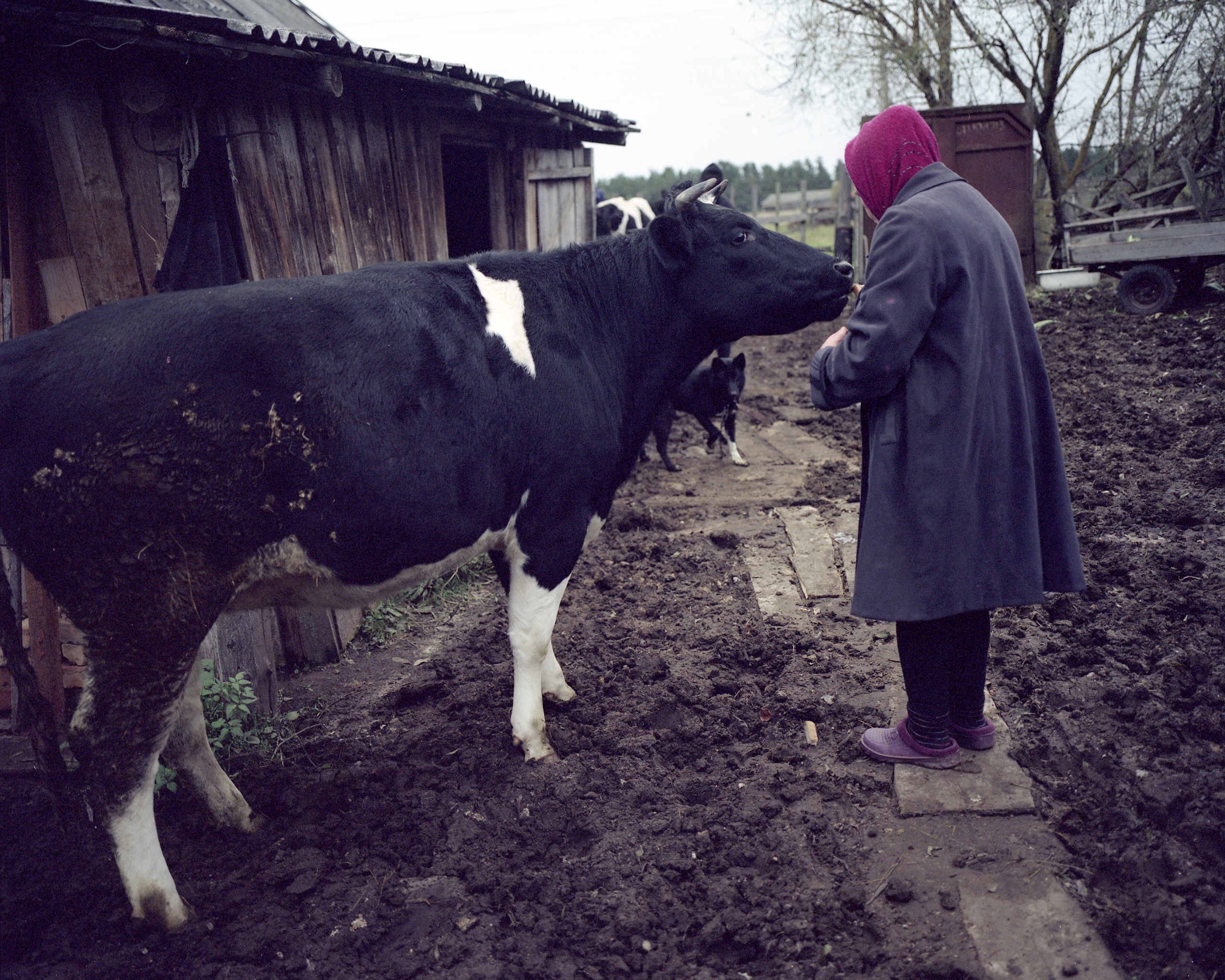 Photoproject "Tverin Karjala". Ekaterina Solovieva photographer