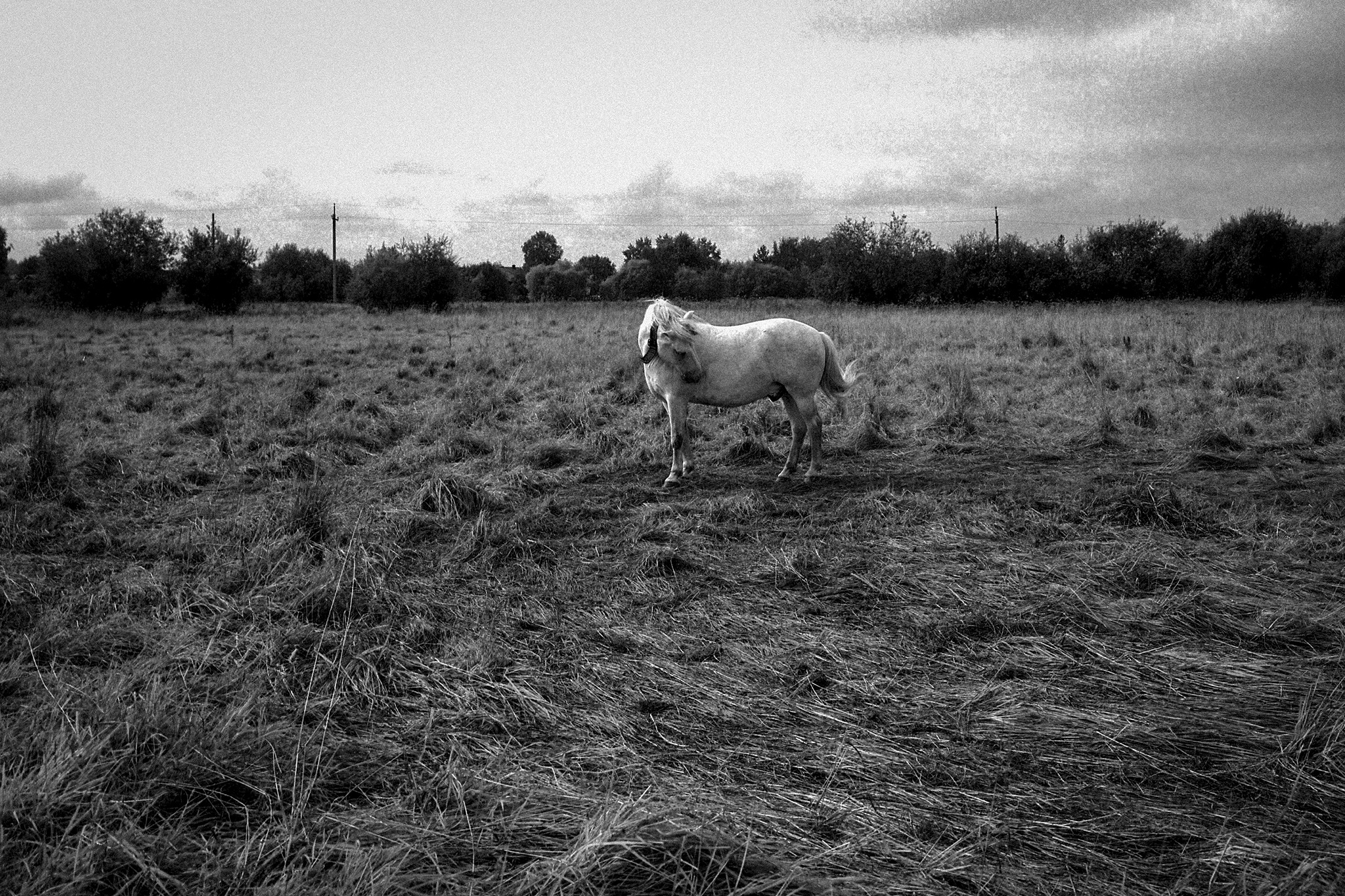 Photoproject "Kego Island". Ekaterina Solovieva photographer