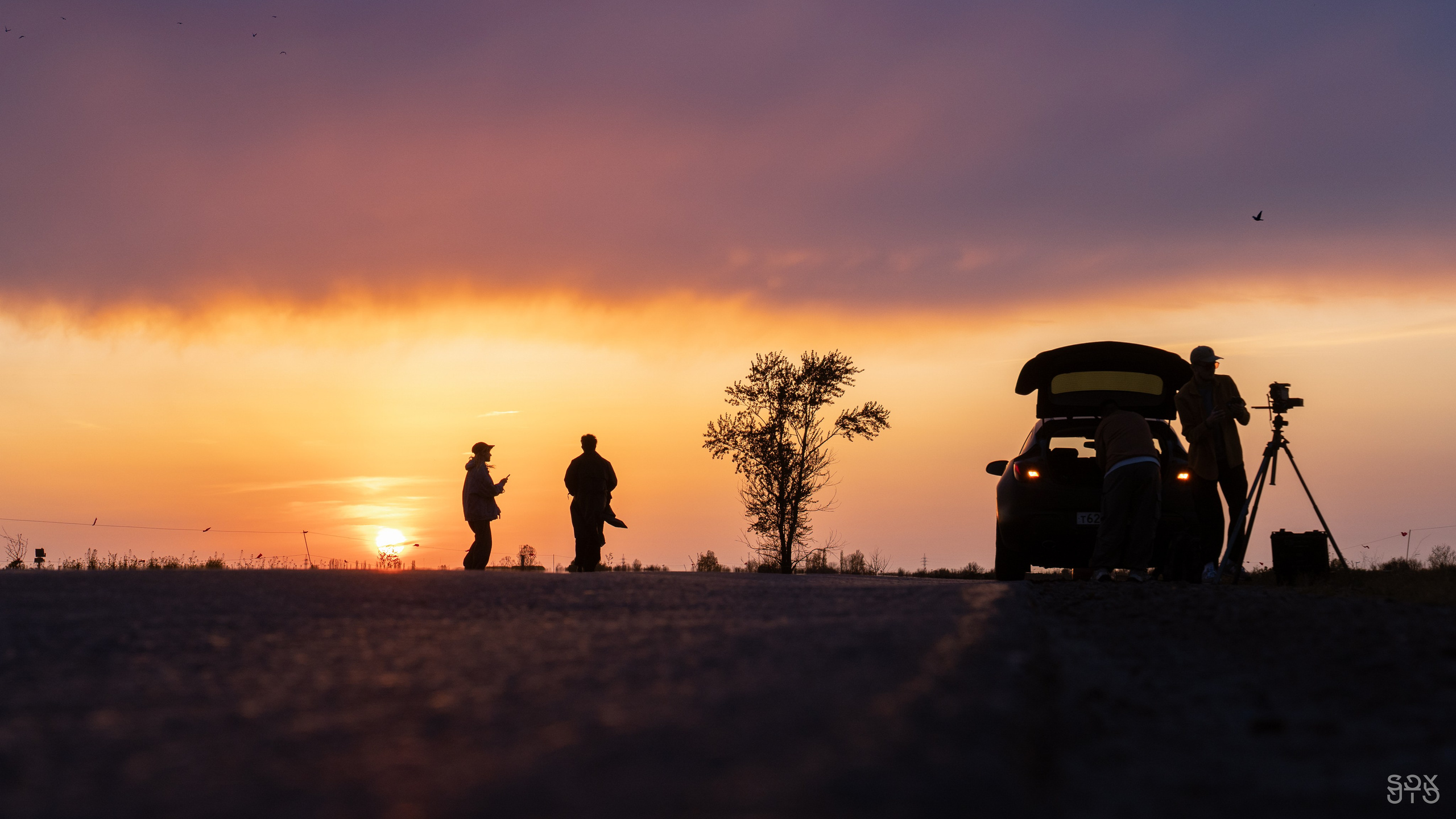 BAKED ROLL x Grad! ent