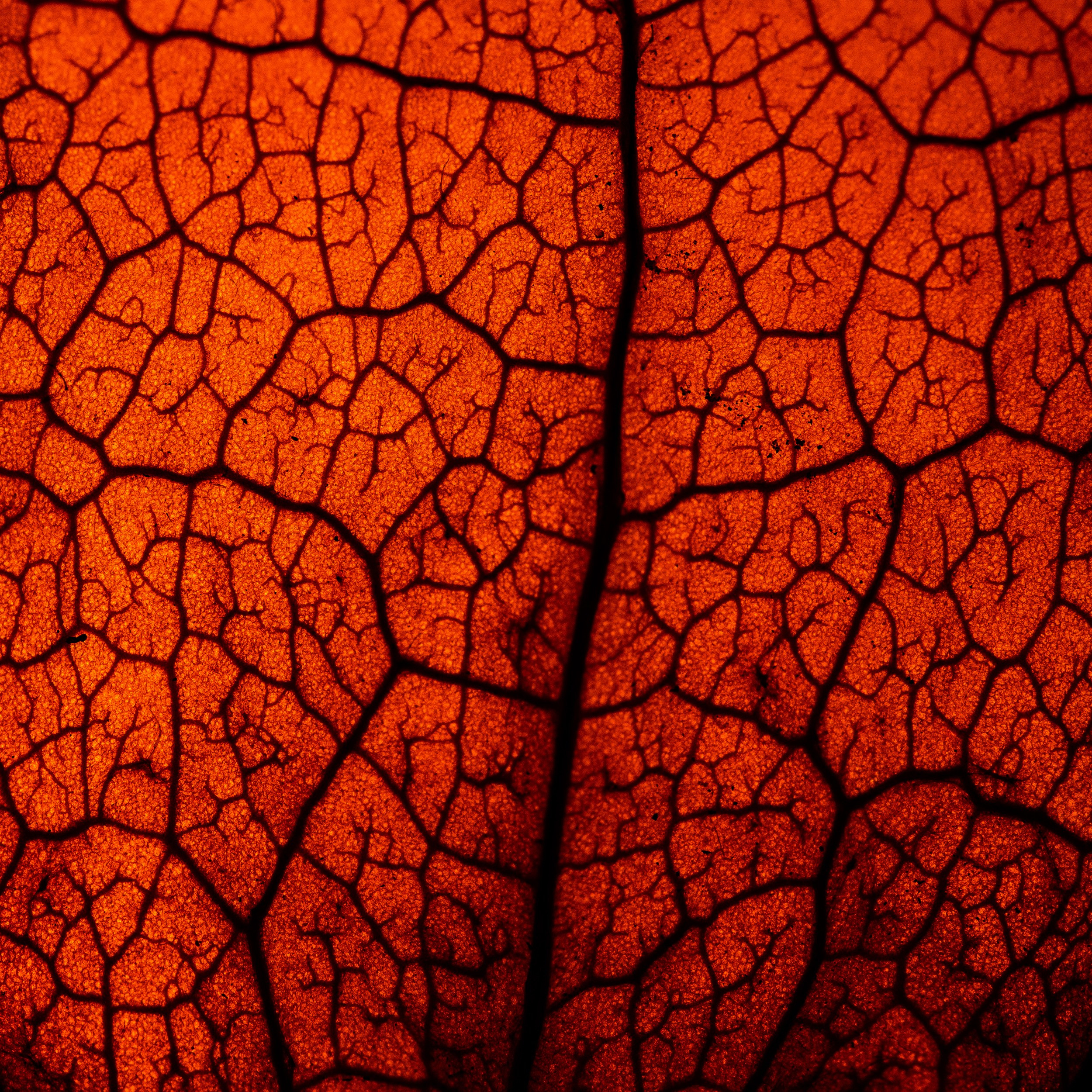 Арт-фото. Михаил Данилов | Фотограф