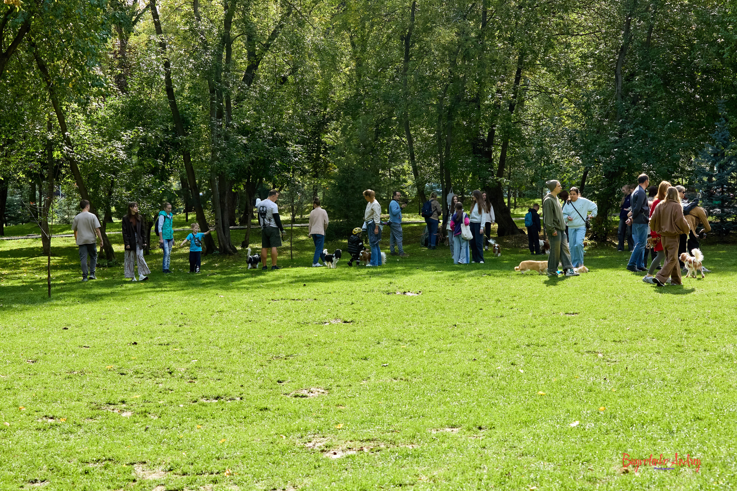 Фотопрогулка с кавалерами. Buyvolenko Andrey