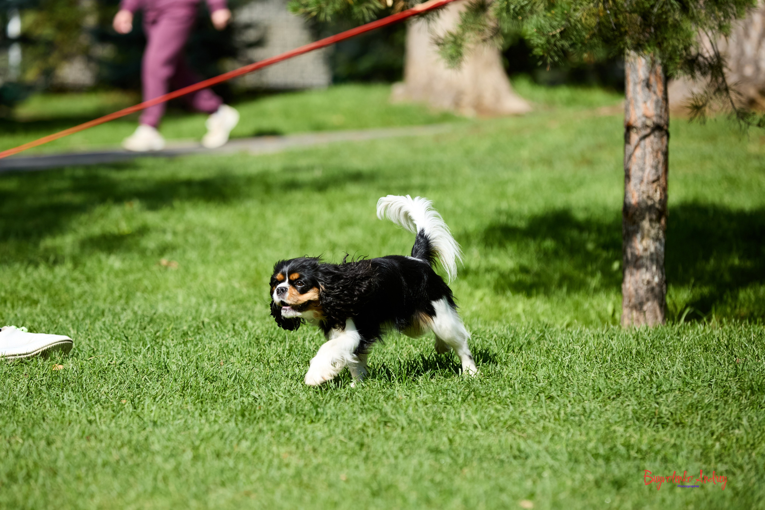 Фотопрогулка с кавалерами. Buyvolenko Andrey