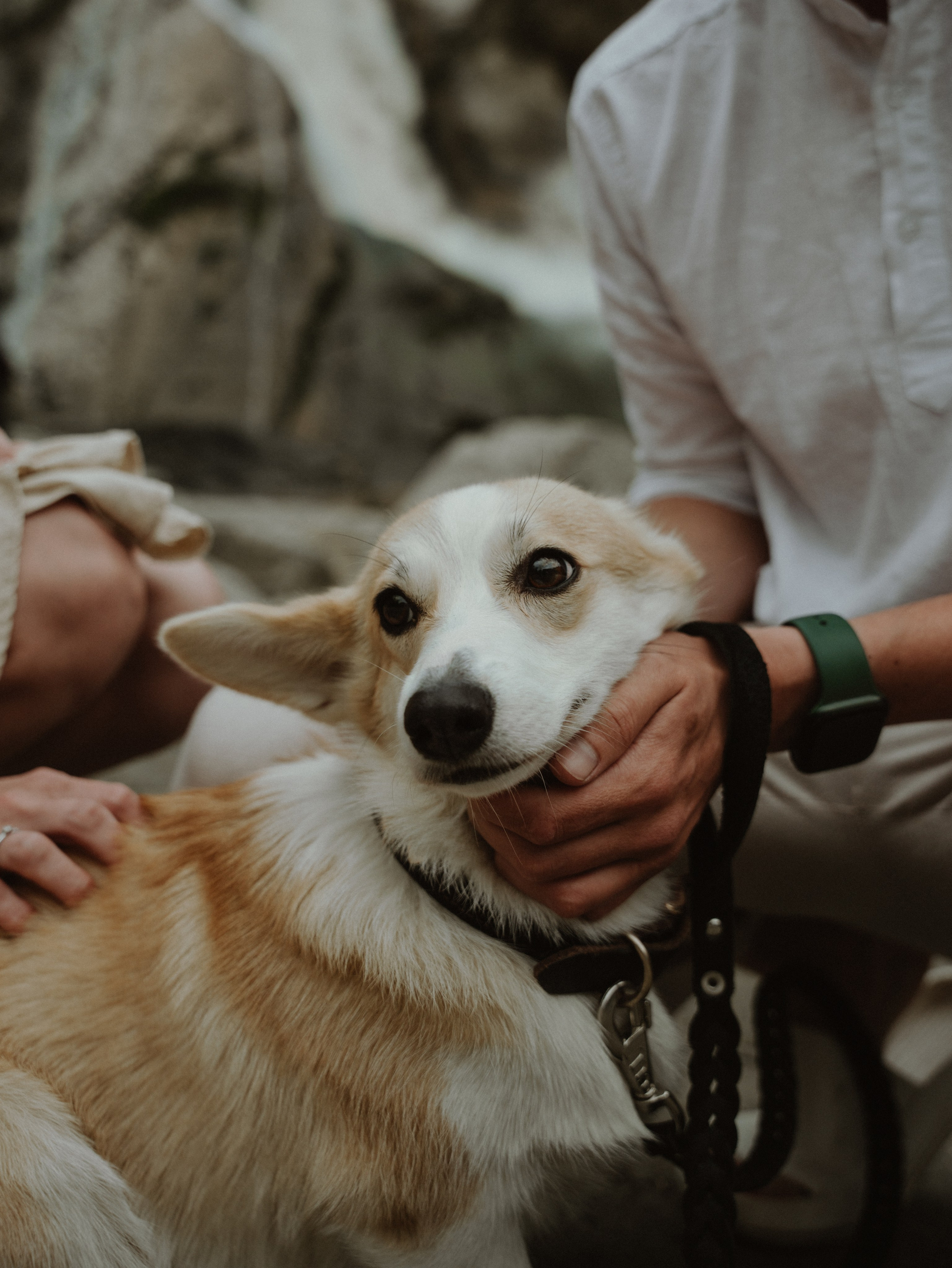 Съемка Love story (лавстори) Александра и Виктории. Свадебный фотограф Ирина Беляева Пятигорск|Кисловодск|Эльбрус|Домбай