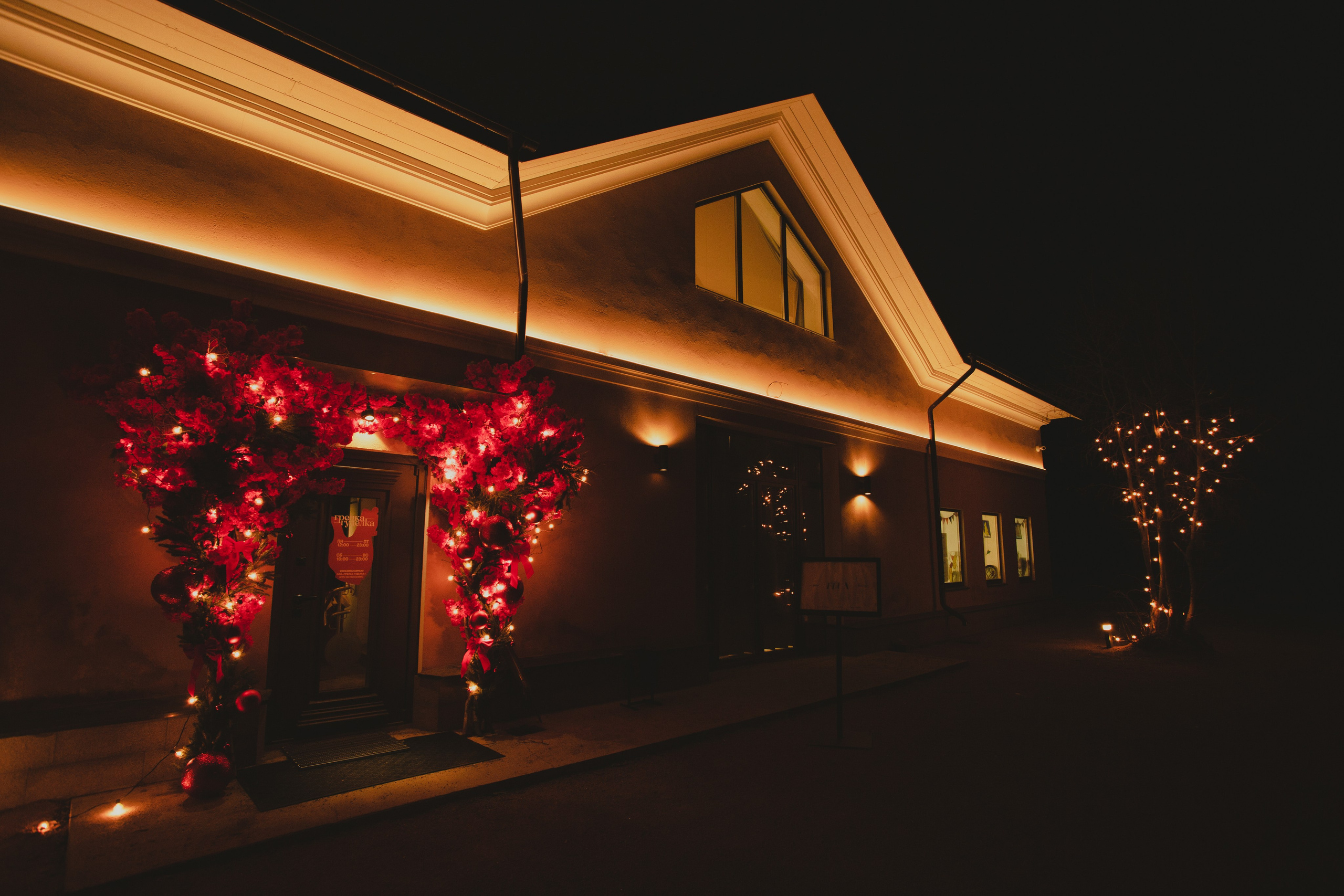 Грелка Гуделка съемка меню + контент. Коммерческий Фотограф Виктор Фоменых