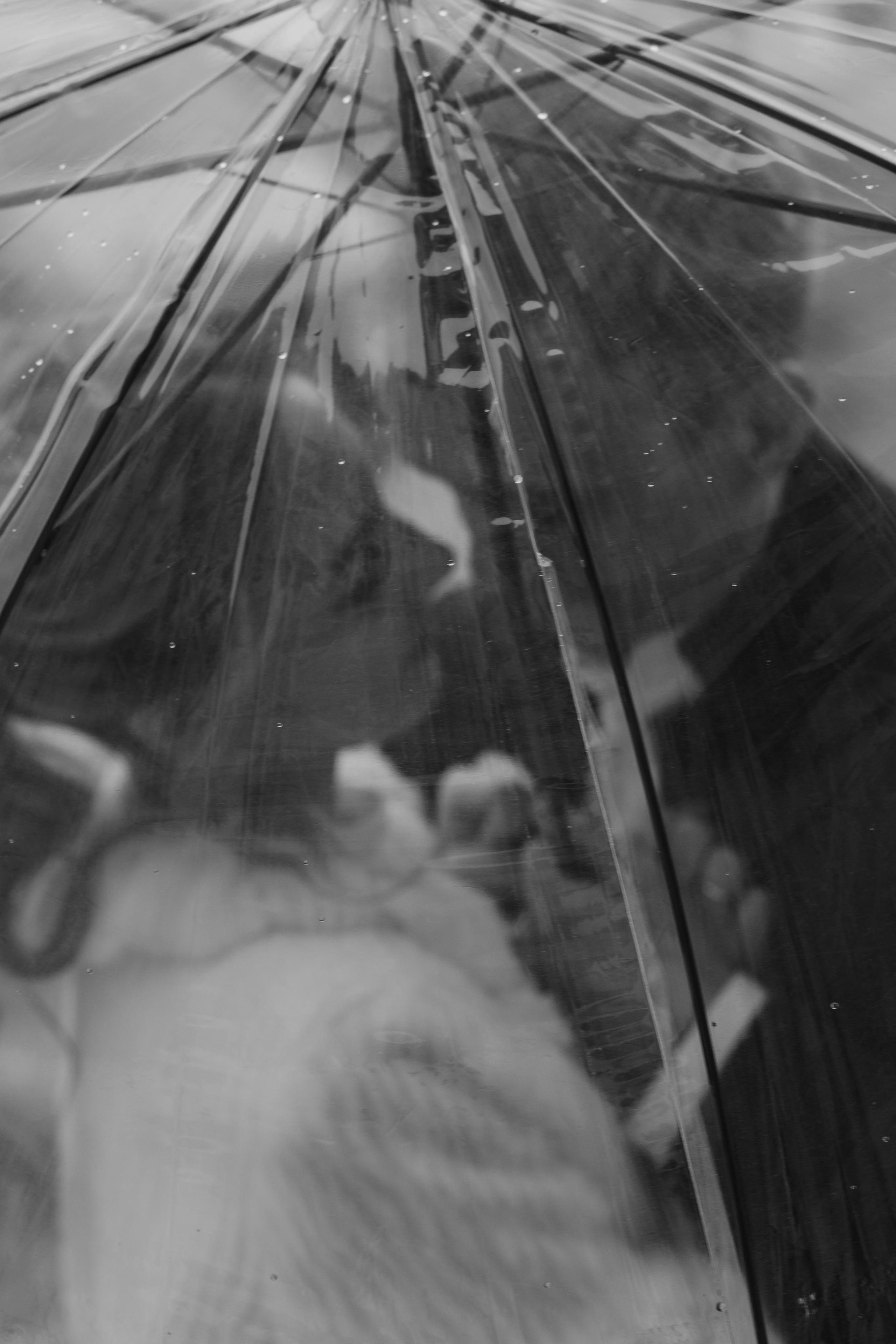 Сергей&Мария. Свадебный фотограф в Чебоксарах Анастасия Иванова