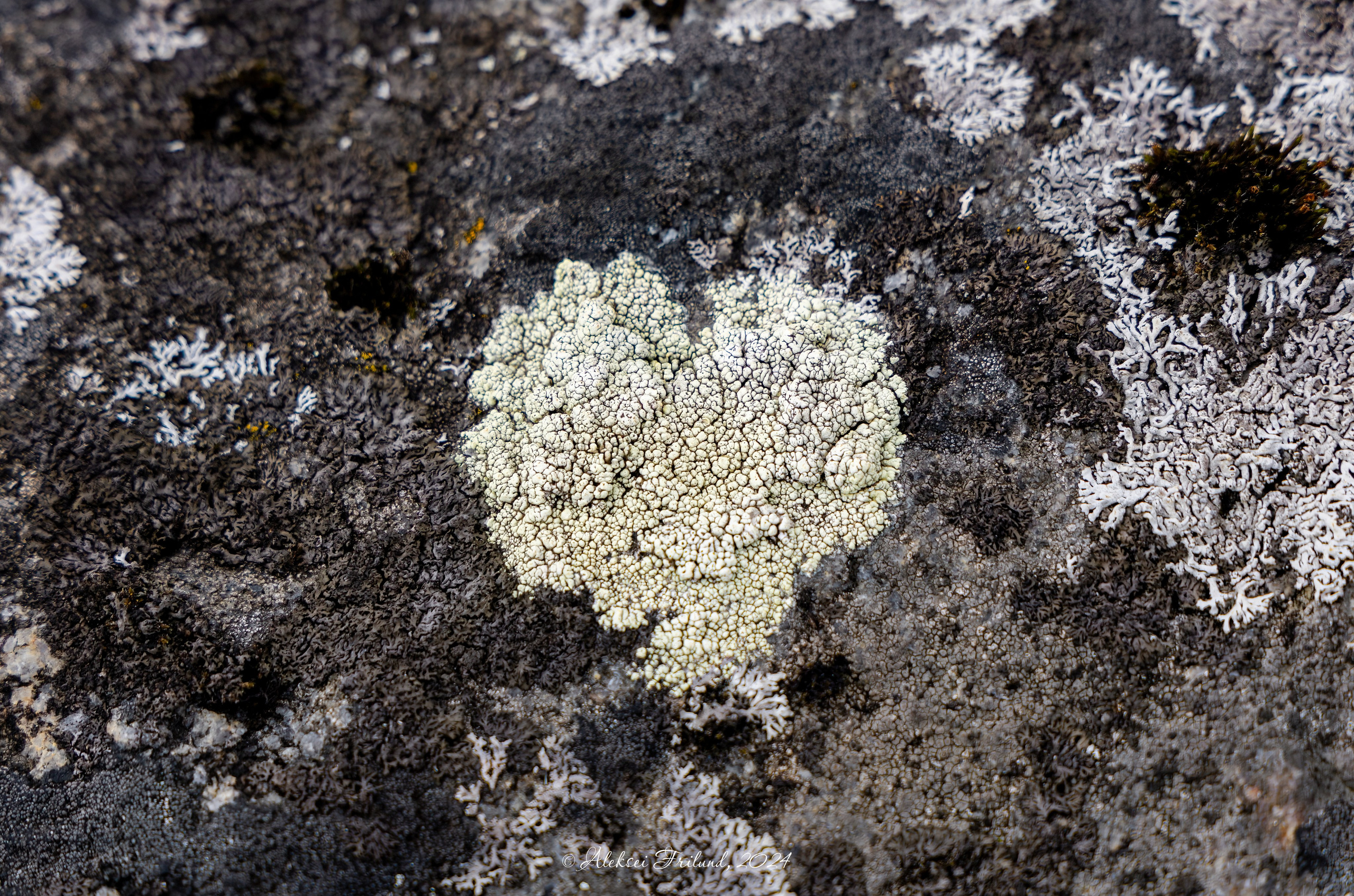 Природа Карелии. Аэросъемка. Фото и Видео в Карелии. Алексей Фрилунд