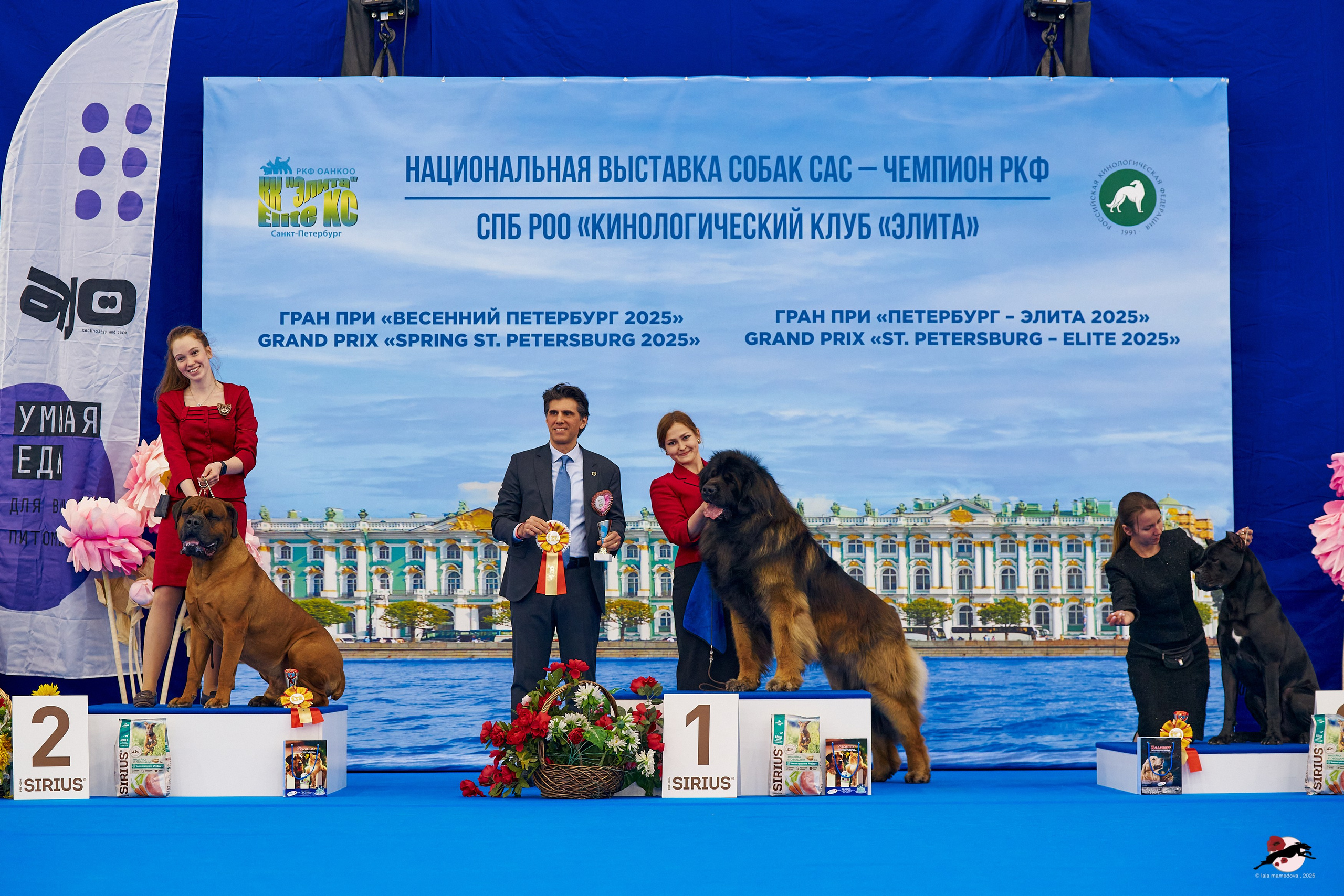 27.04.2025 | "Петербург-Элита 2025" & «КУБОК «ЭЛИТЫ»-2025»