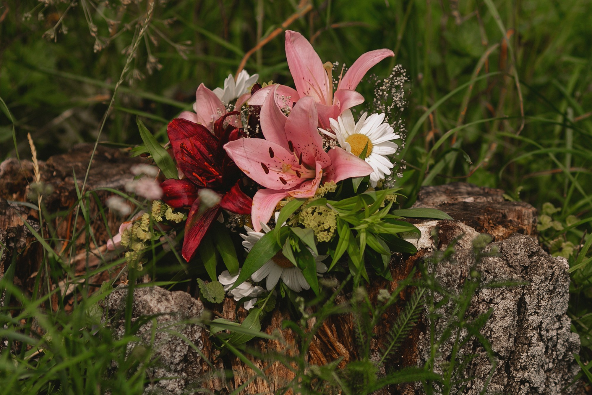 Фотограф Плес. Олеся Ефанова фотограф Иваново, Тейково и Плёс