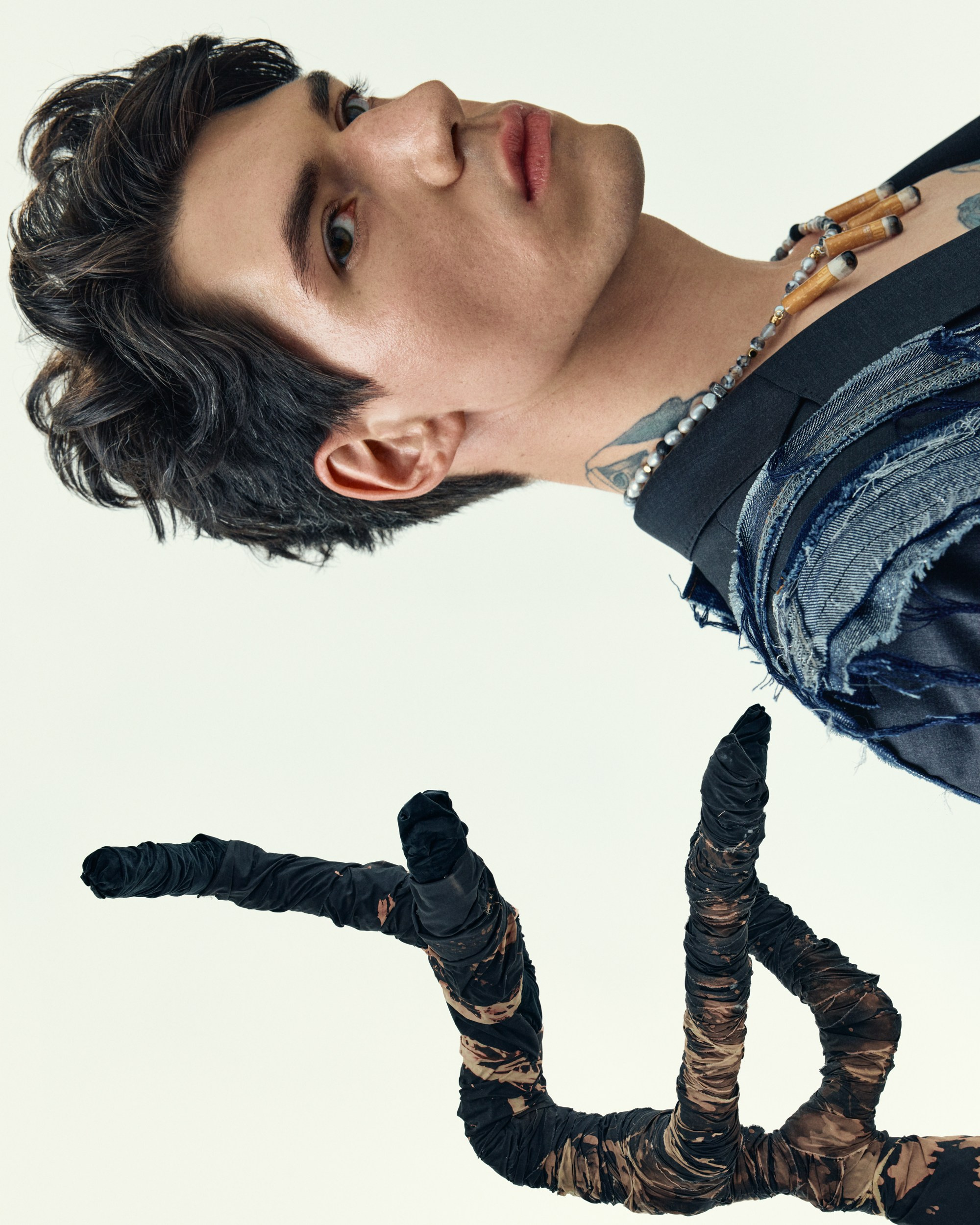 Campaign «The Silver Tree» for Ex8'25. Vasiliy Shvetsov