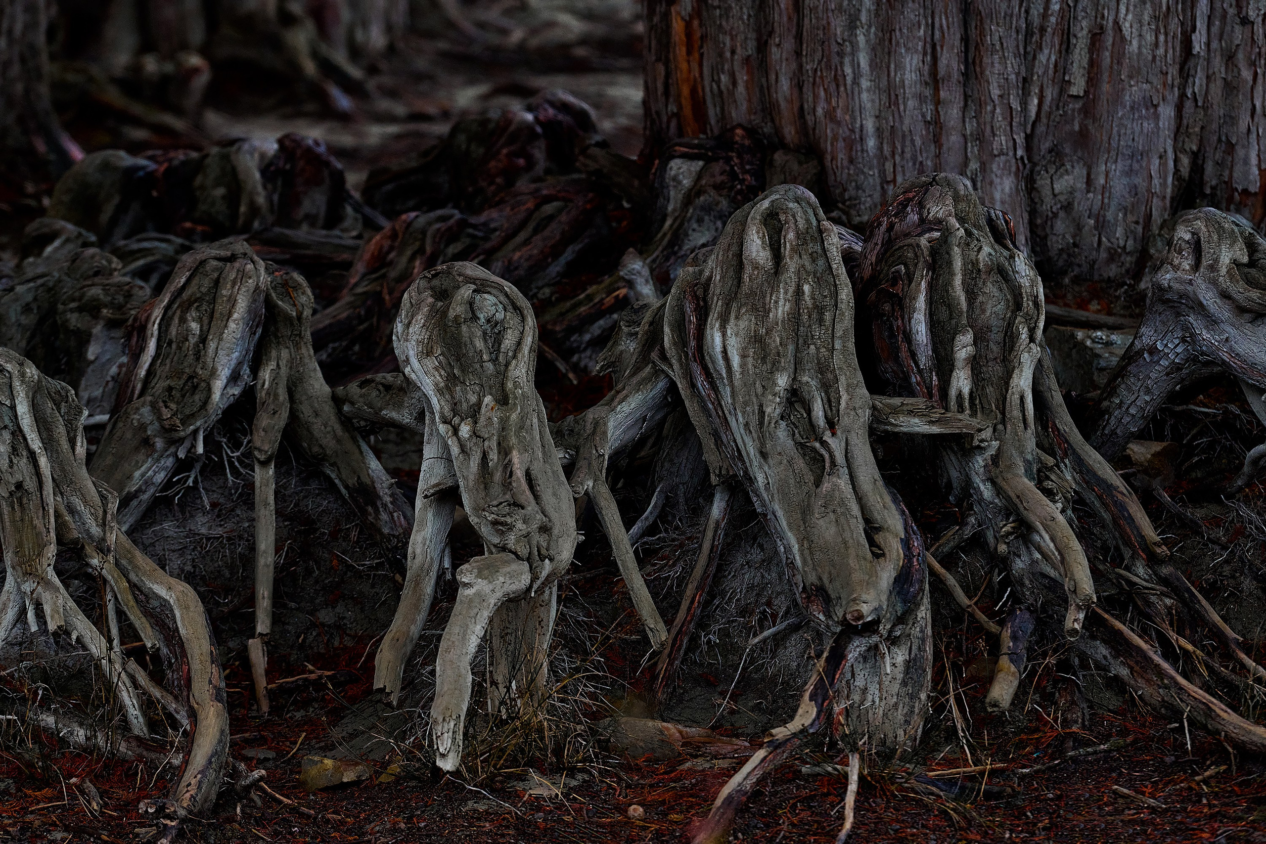 Текстуры и другие фоны. Textures and other. Яркие фото на Чёрном море