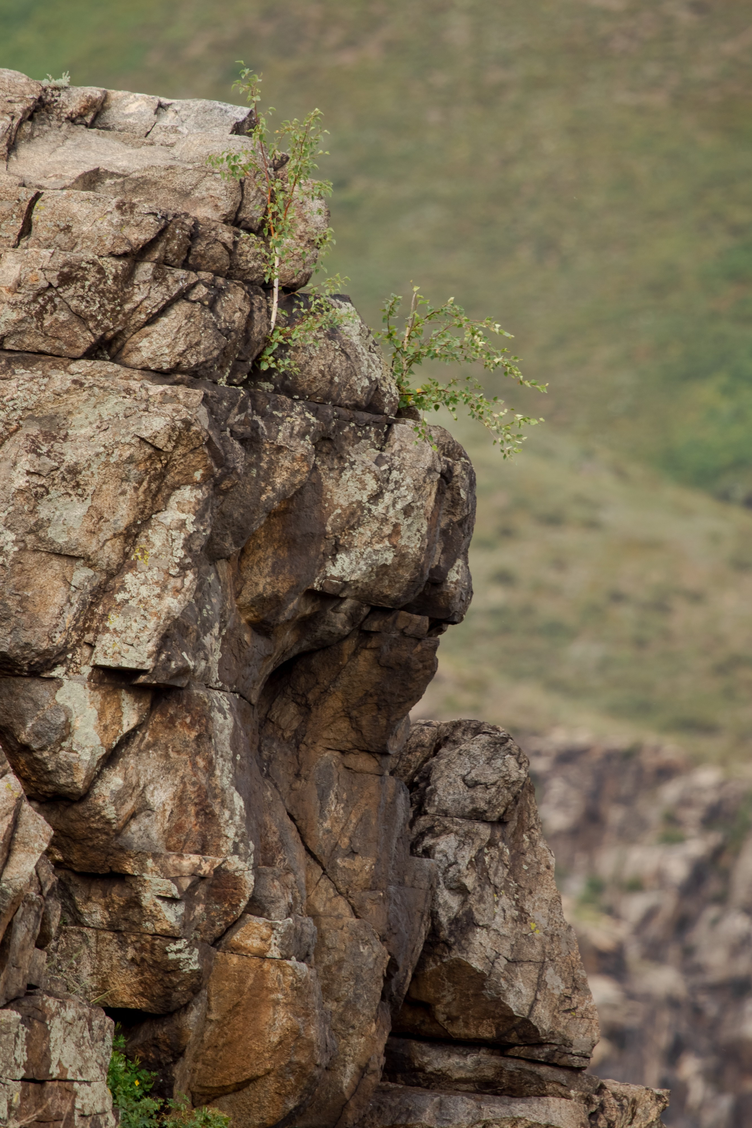 Казахстан. Фотограф Кирилл Мешков Кемерово