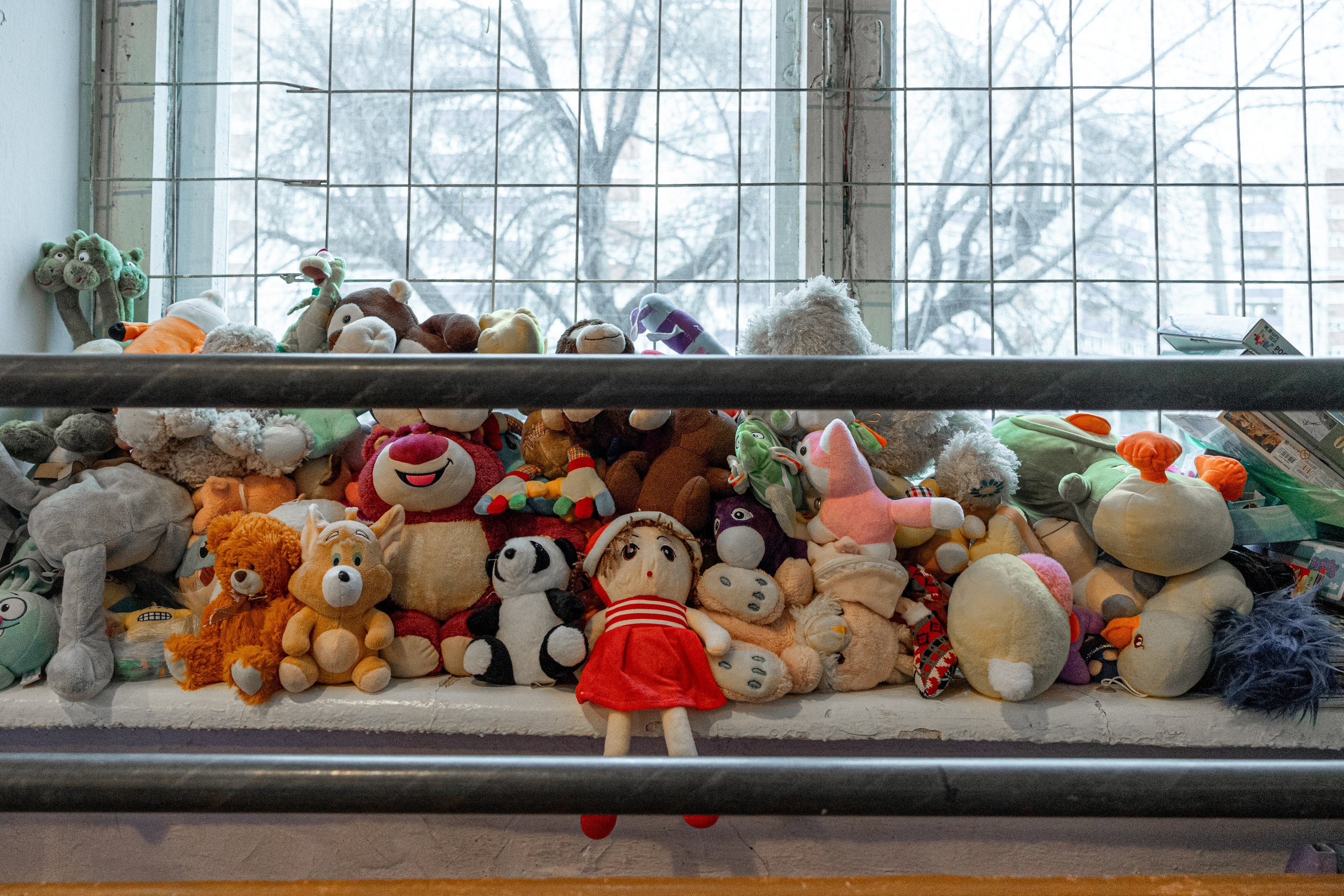 НОВОСТНОЙ РЕПОРТАЖ. Репортажный фотограф Наталья Лапцевич