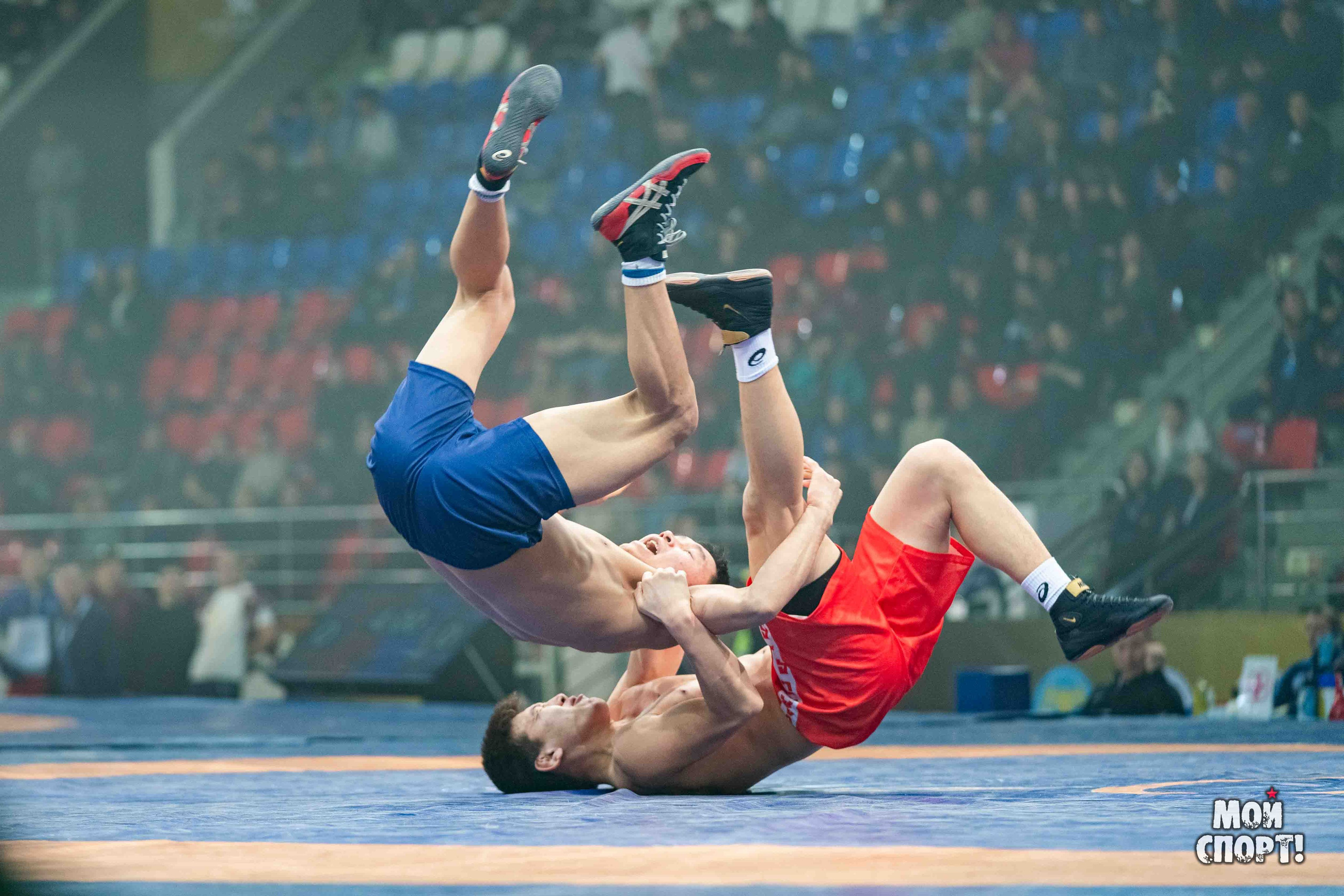 Ханалас Хапсагайа. Студия «Мой Спорт!» — все о спорте в Якутии