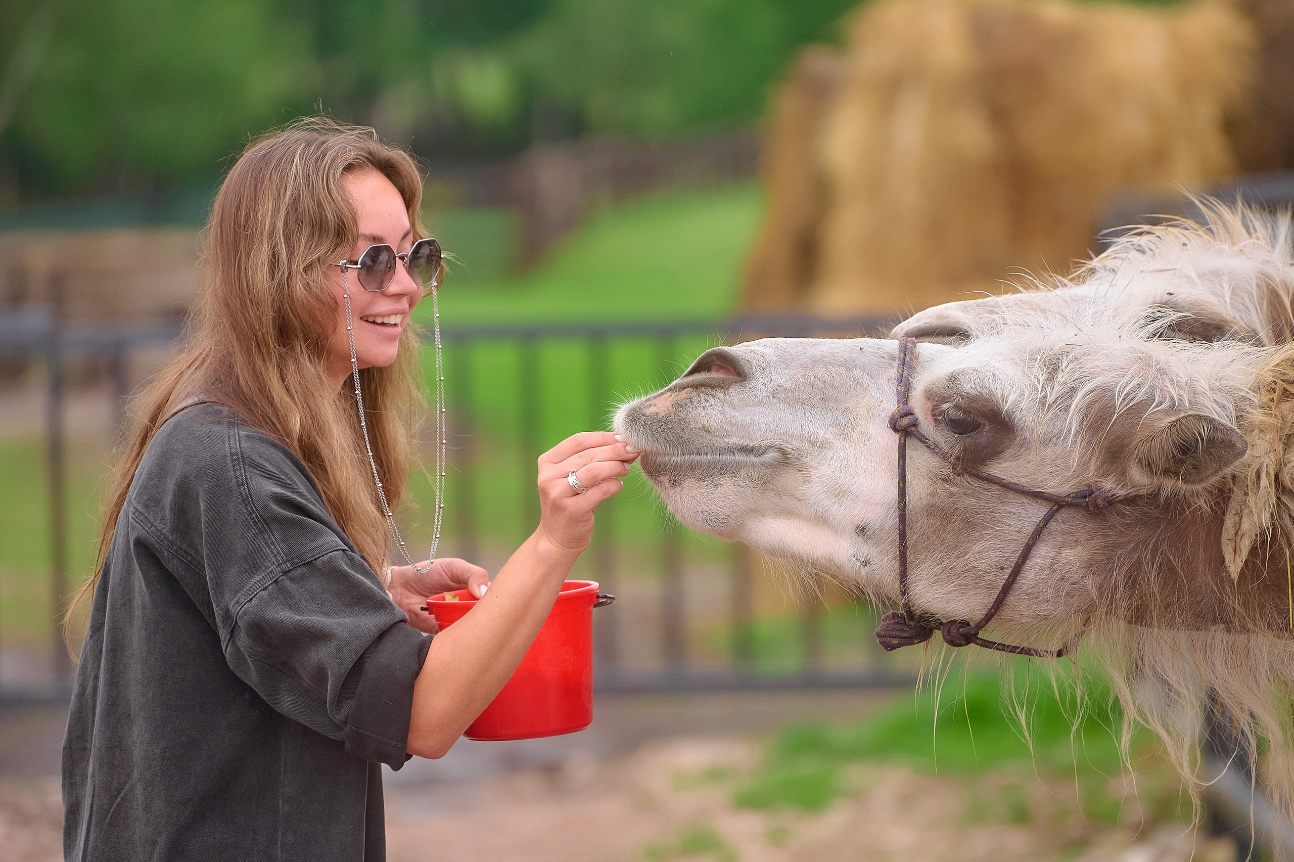 Ранчо «Шарье». Сеть магазинов «Калина-Малина». Фотограф Яковлев Роман — Красноярск