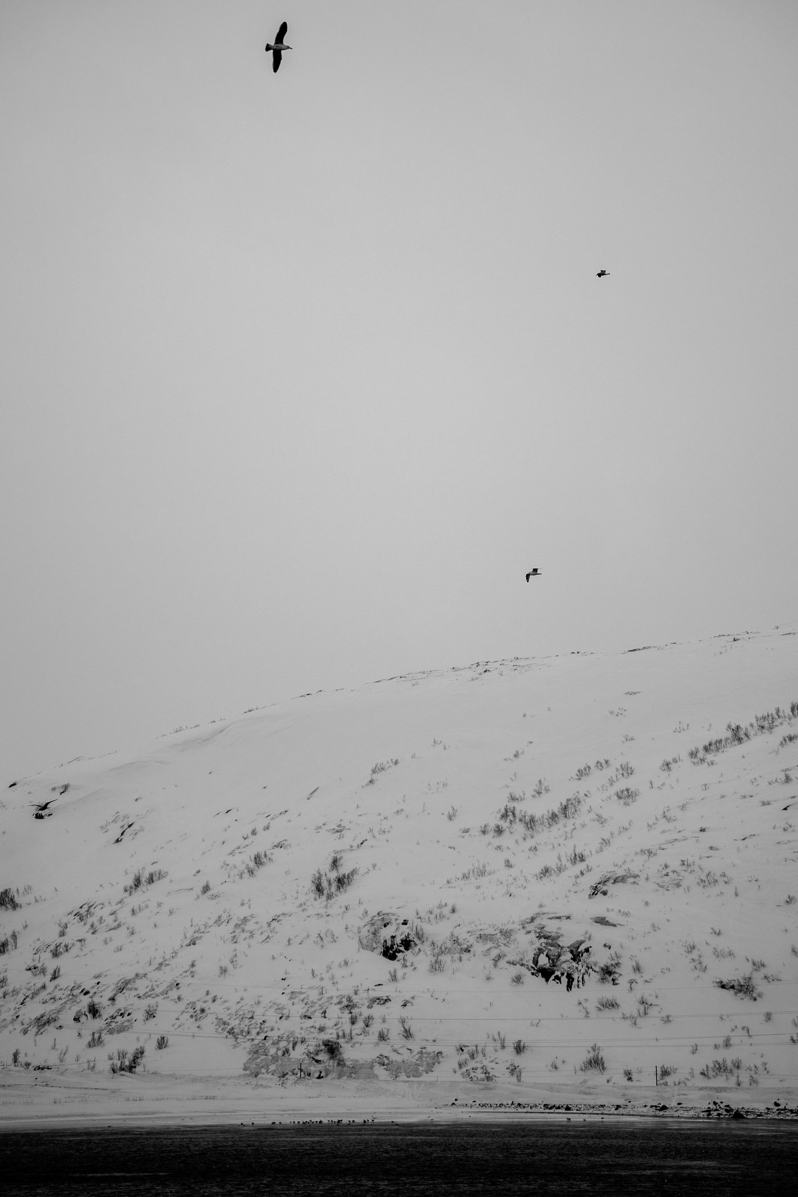 Териберка — репортаж тура Ковчег 51. Видеограф в Санкт-Петербурге Анастасия Коок