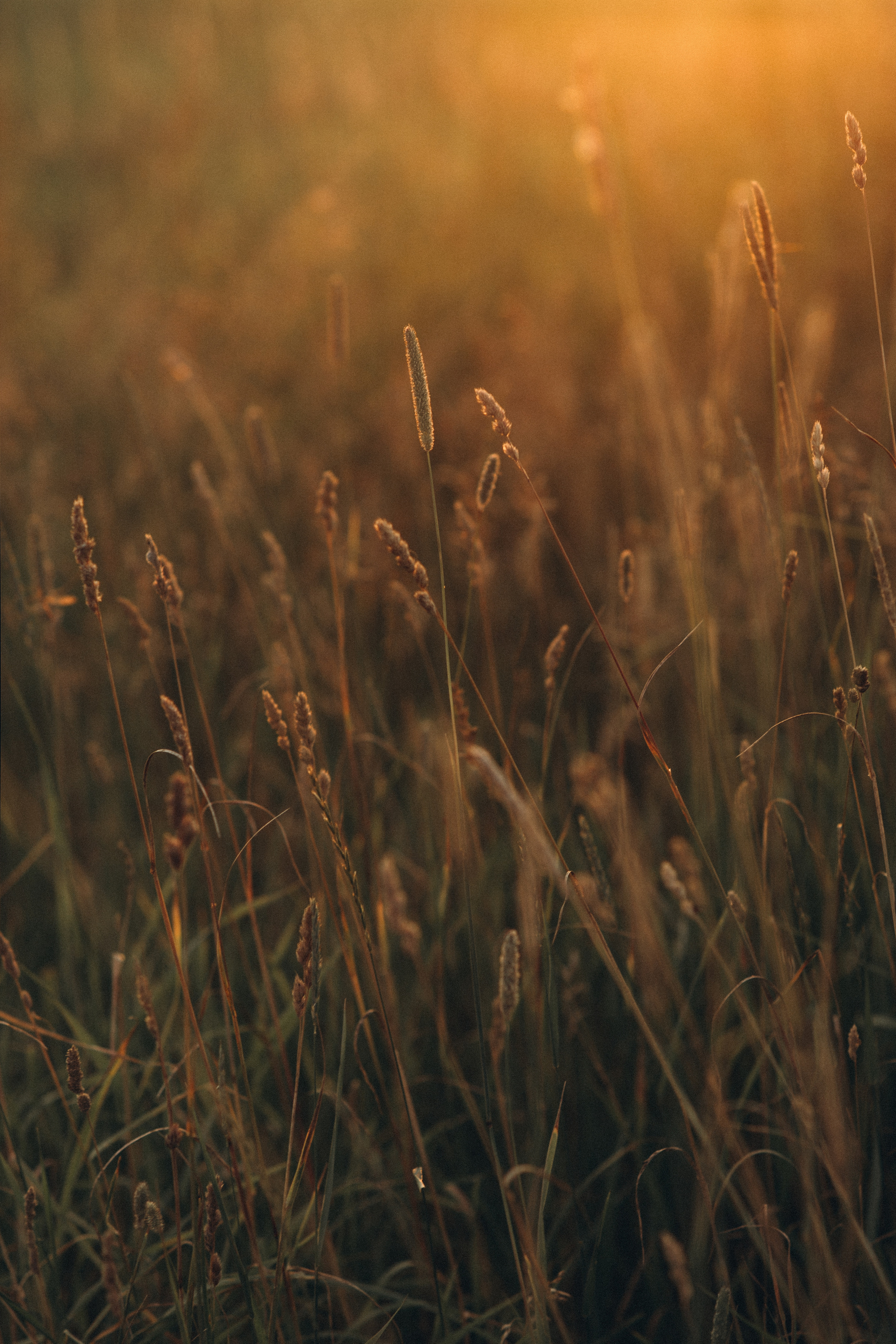 Rita. Снимаю истории про вас. Фотограф Наталья Кац