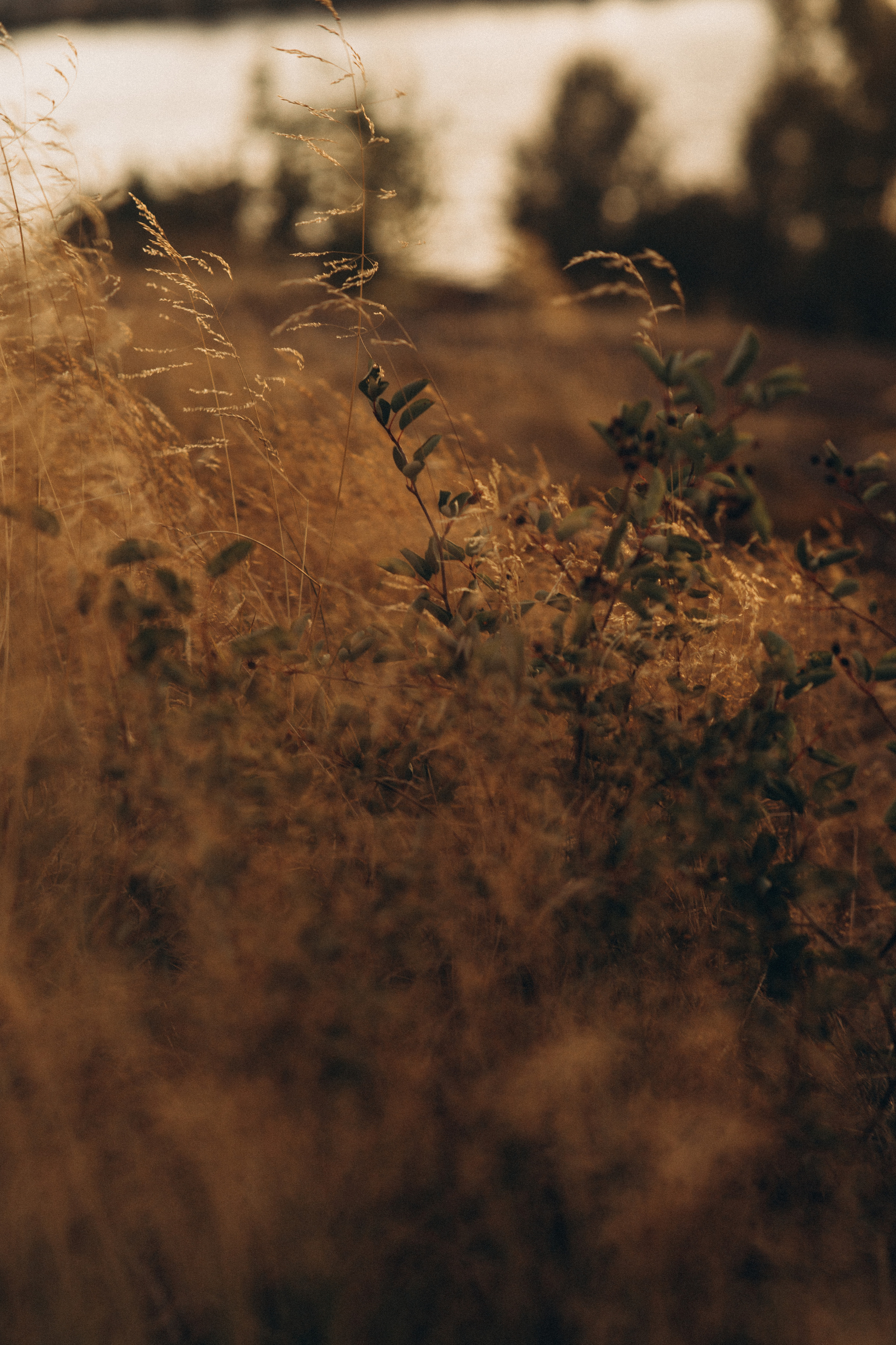 Masha. Снимаю истории про вас. Фотограф Наталья Кац