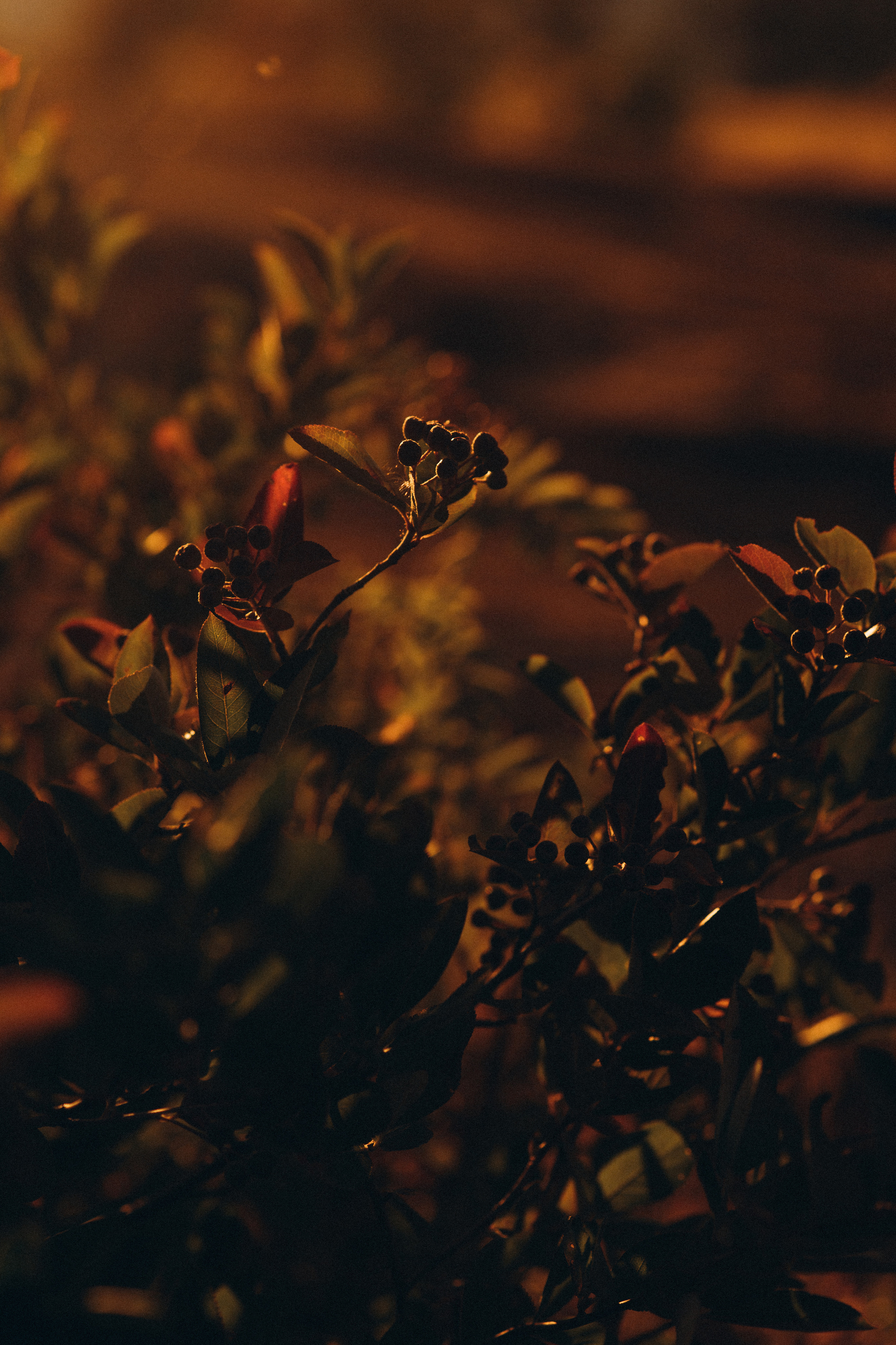 Masha. Снимаю истории про вас. Фотограф Наталья Кац