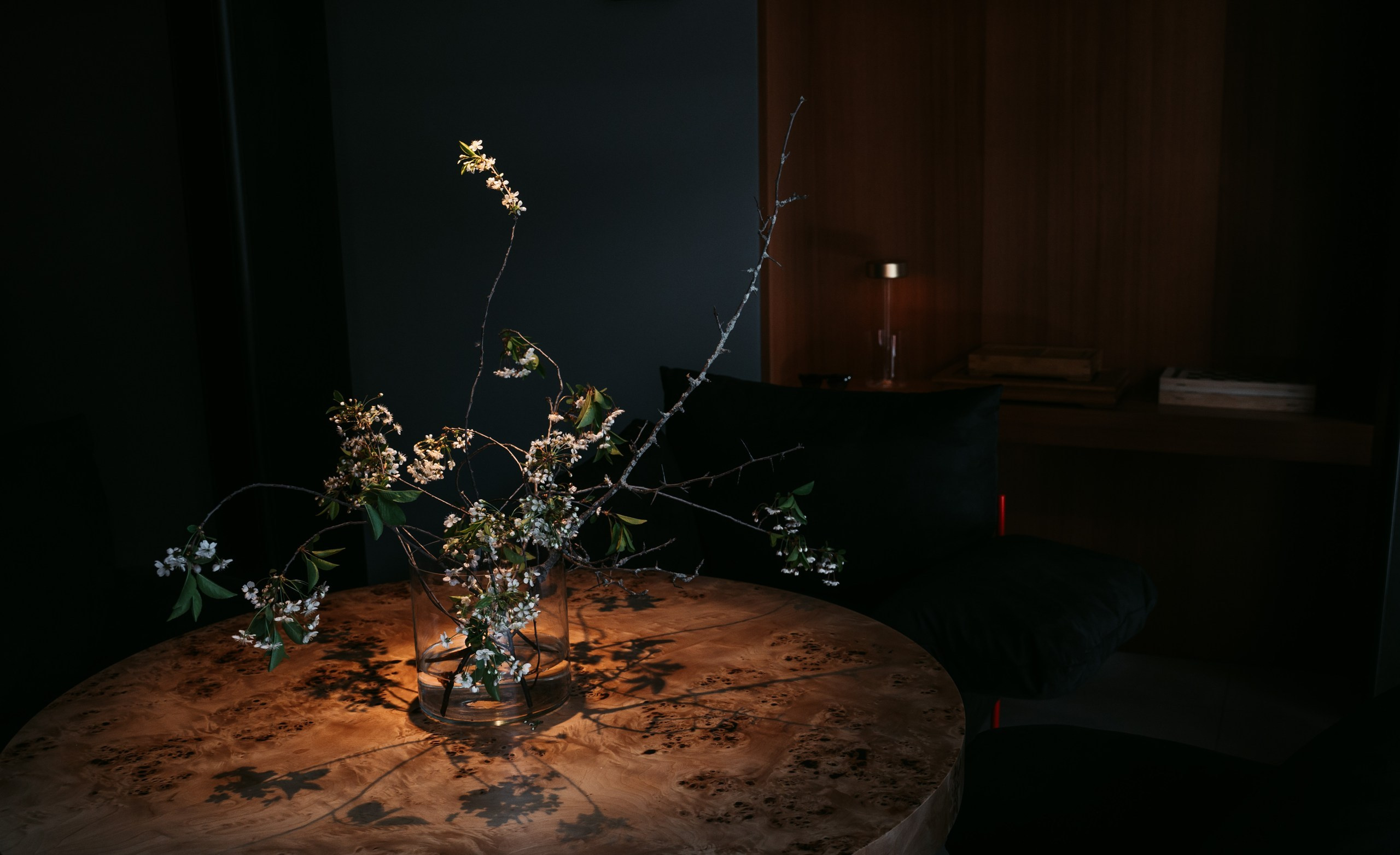 Лилико х Enter. Саша Копылов, фотограф в Казани