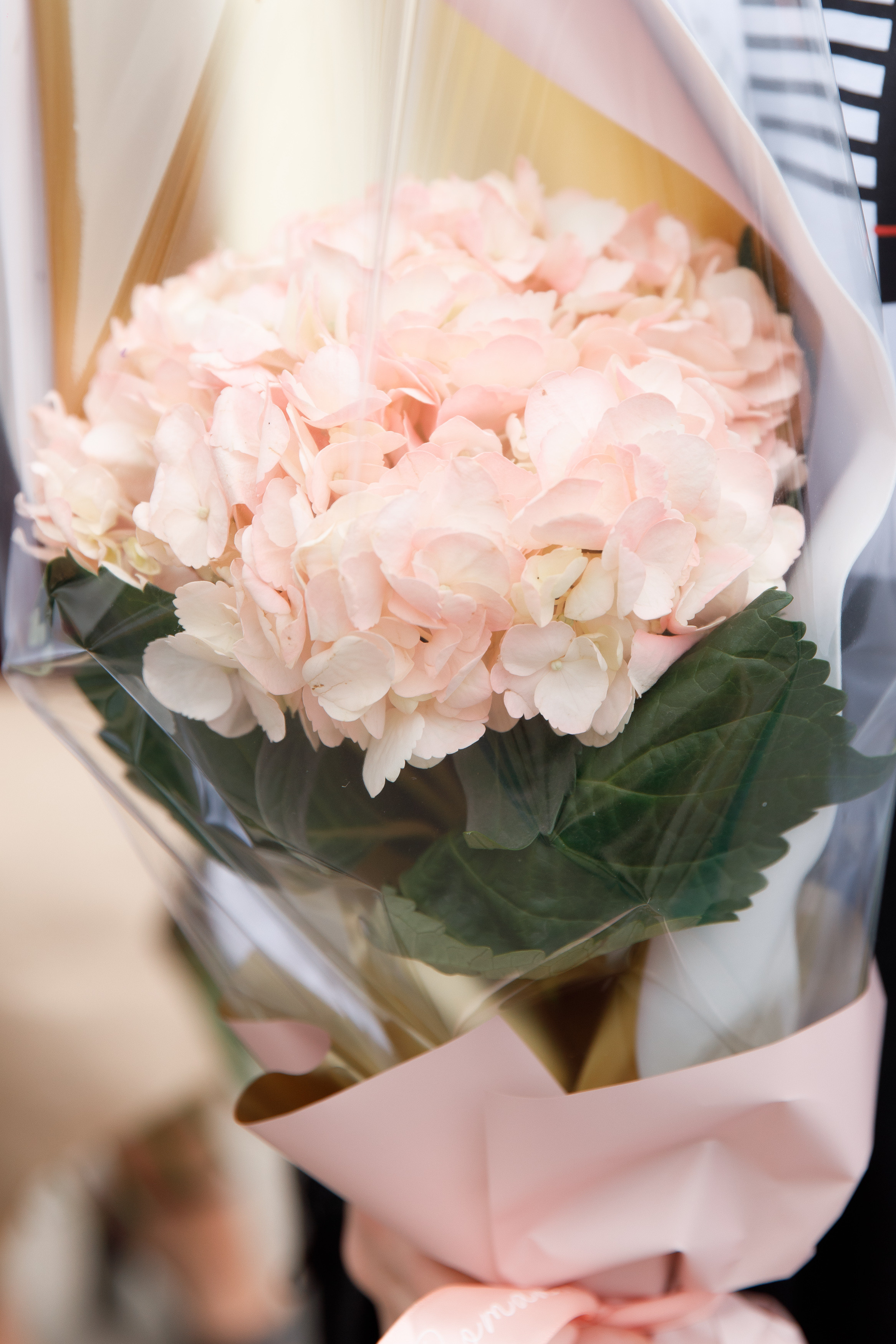 Школа № 33 7 «Б» класс. Свадебный, семейный и школьный фотограф в Сызрани Максим Баталов