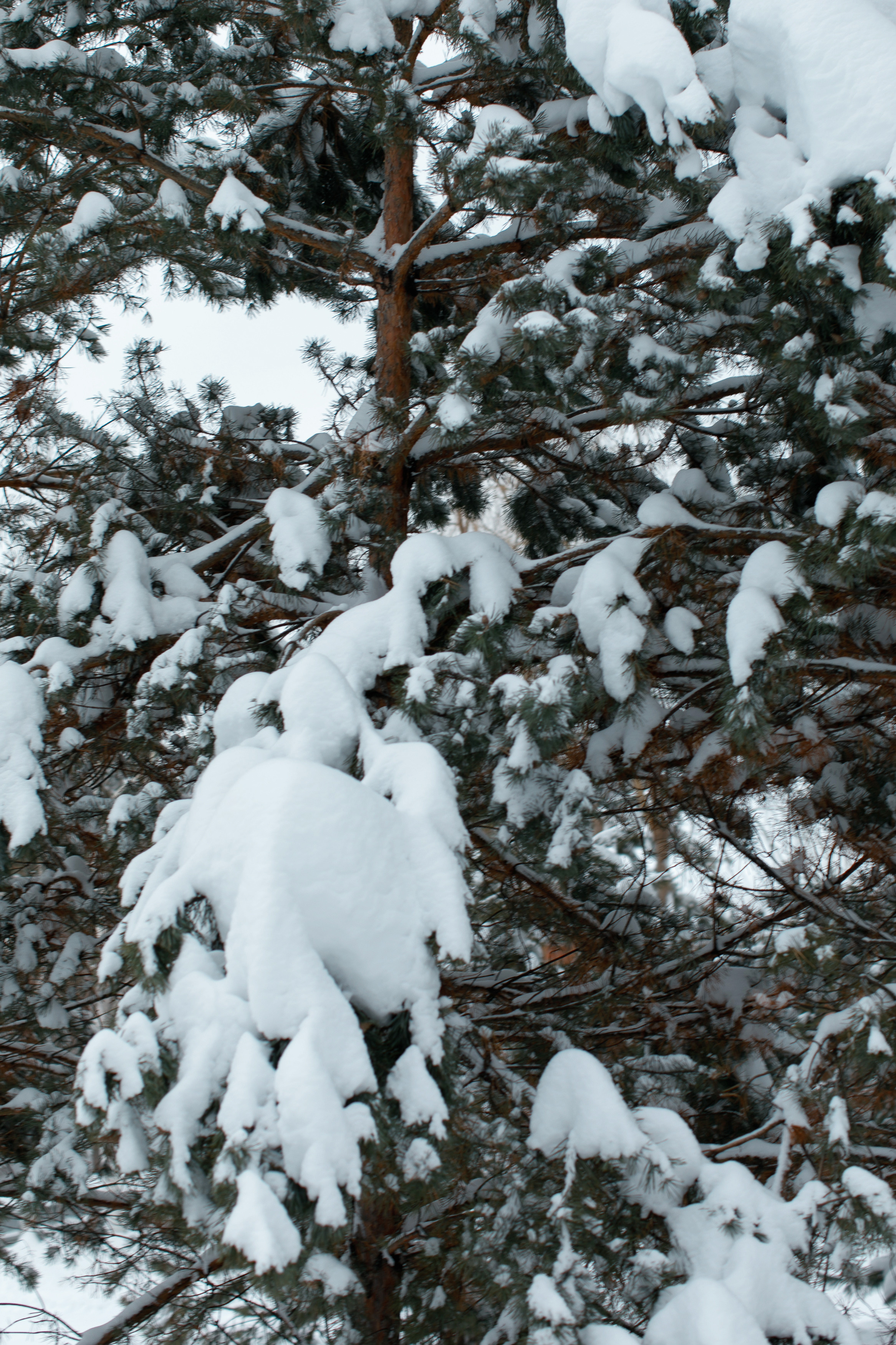 Наше первое путешествие | Рамено. Свадебный, семейный и школьный фотограф в Сызрани Максим Баталов