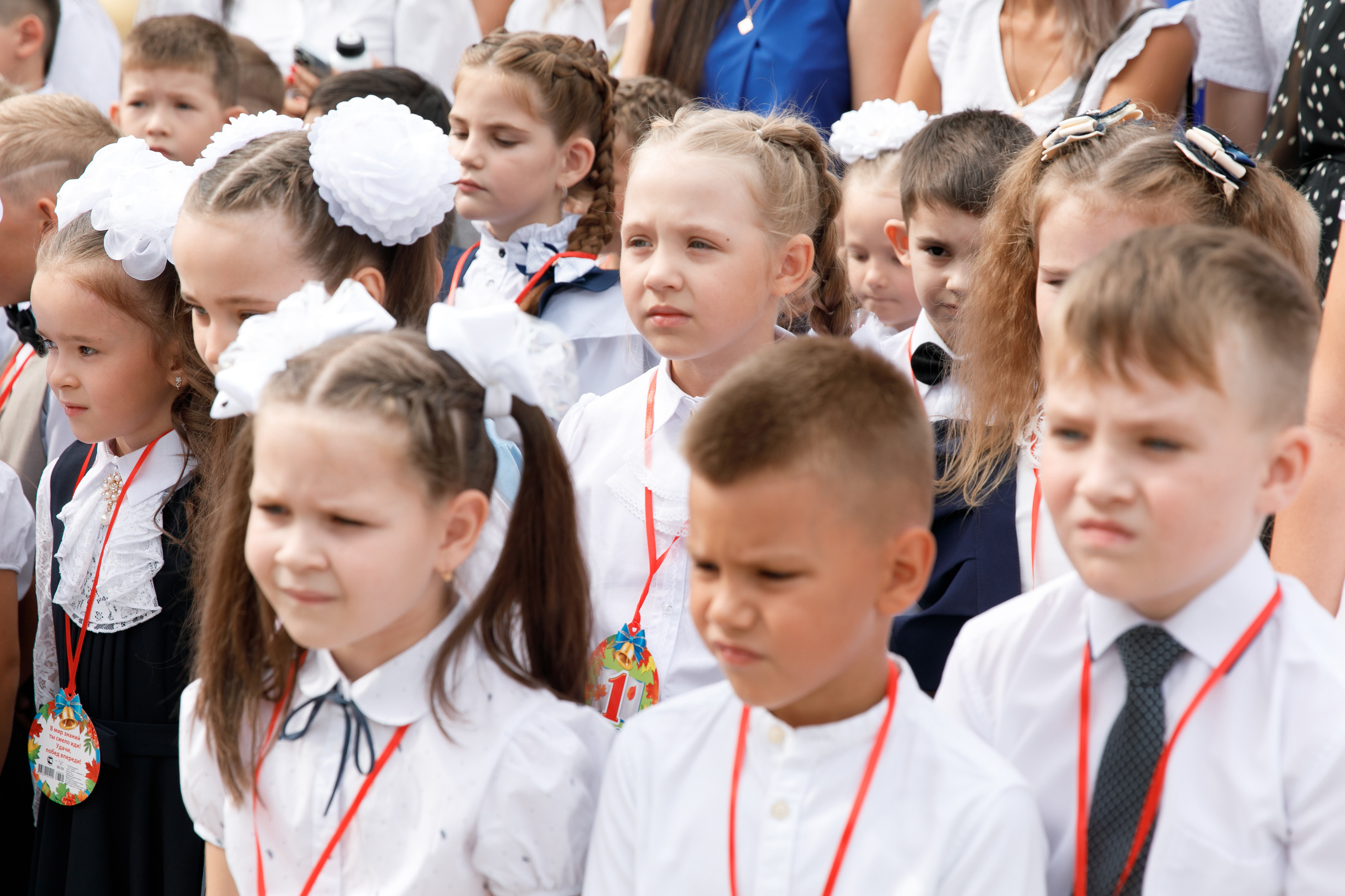 Школа № 33 1 «А» класс. Свадебный, семейный и школьный фотограф в Сызрани Максим Баталов