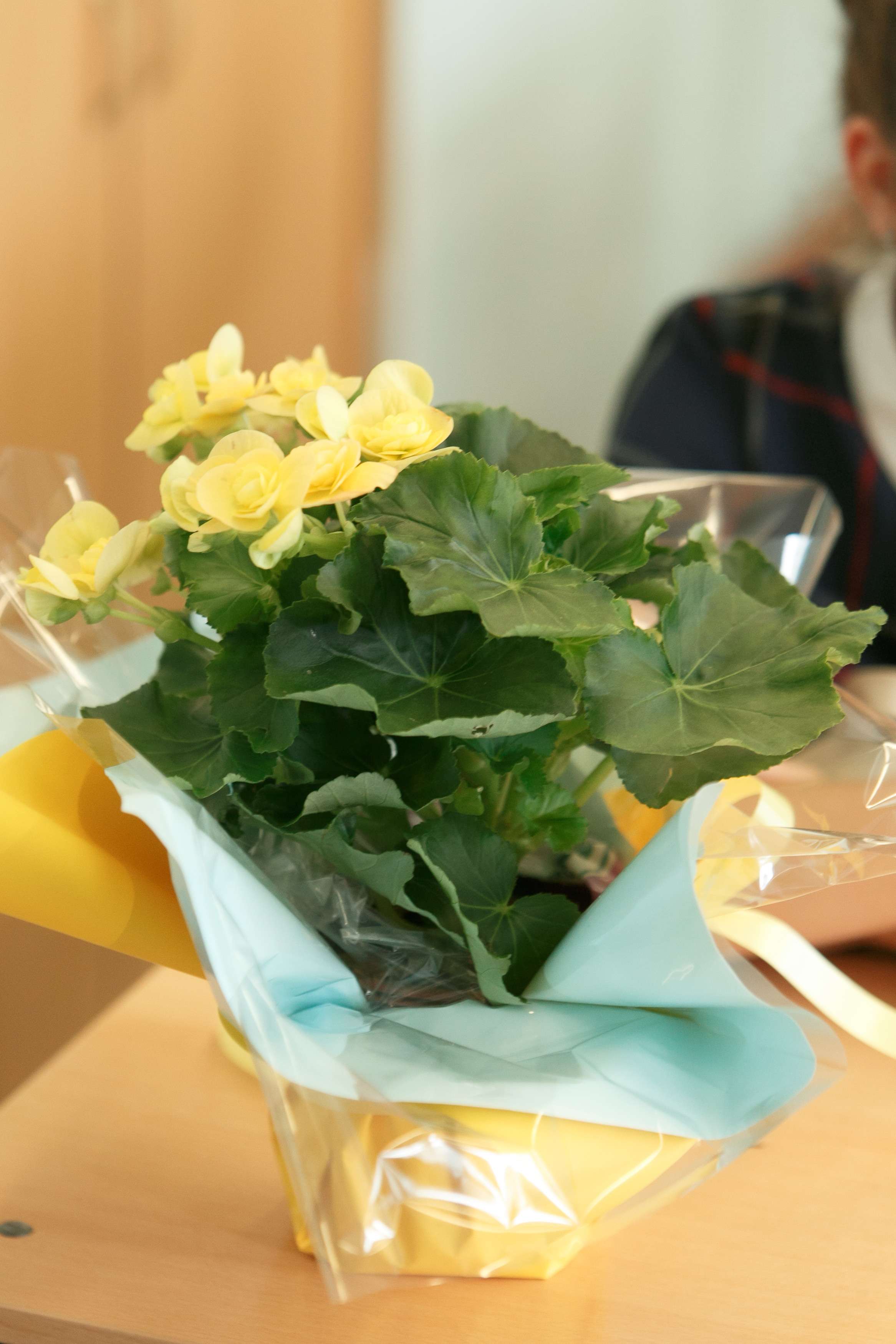 Школа № 33 7 «Б» класс. Свадебный, семейный и школьный фотограф в Сызрани Максим Баталов