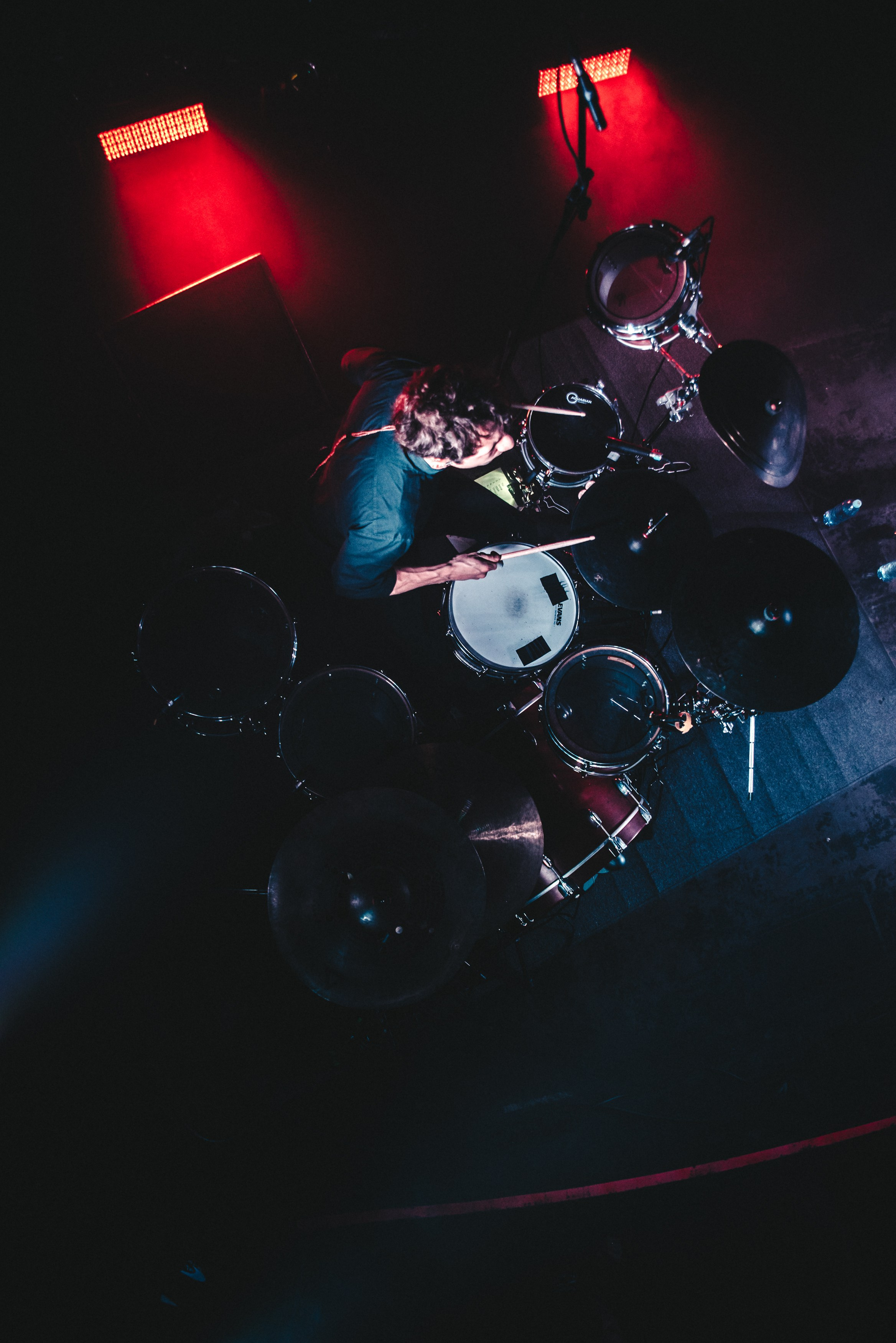 Дельфин | Gaudi. Контент фотограф Илья Урс