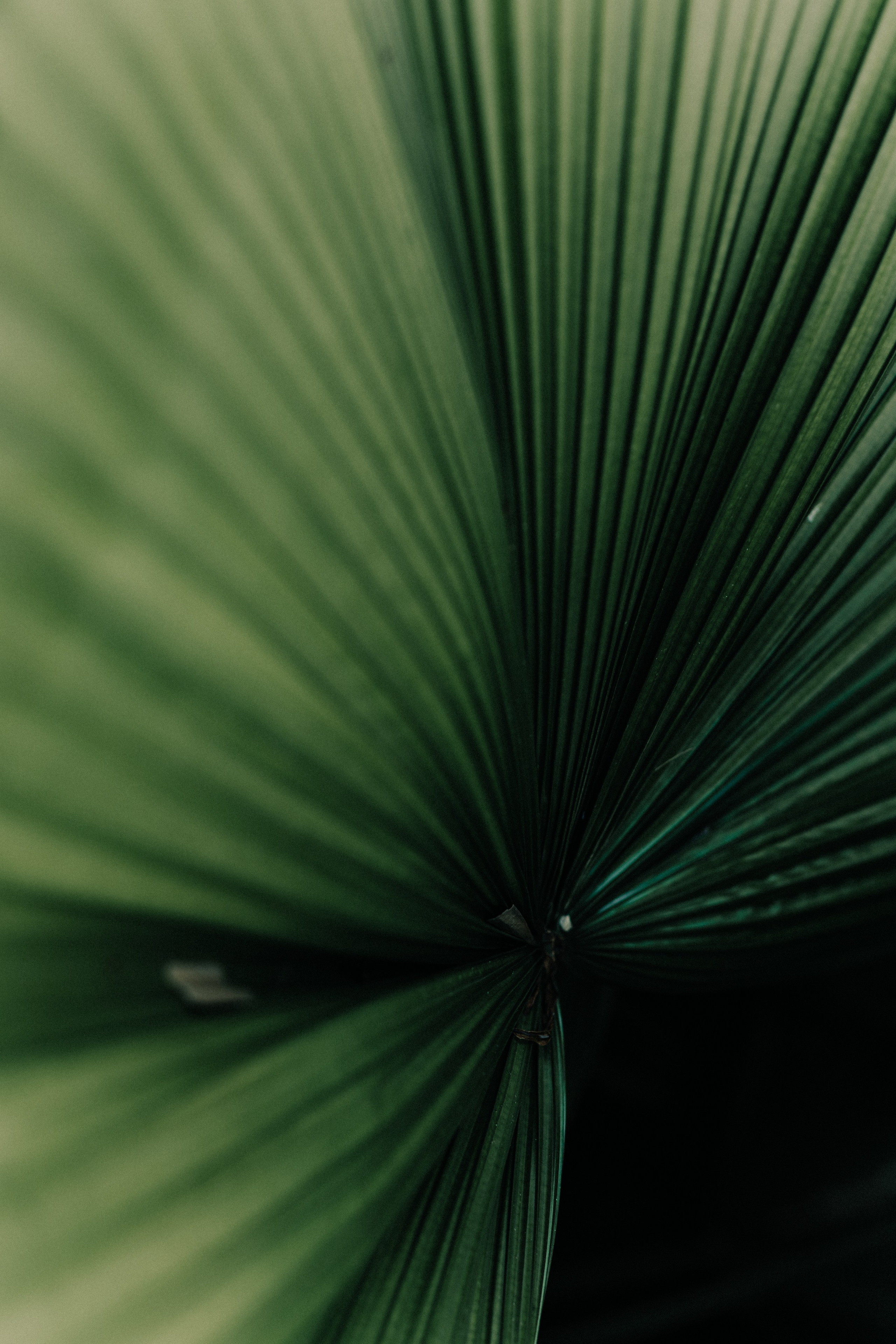 Portfolio. @beingabird.photography