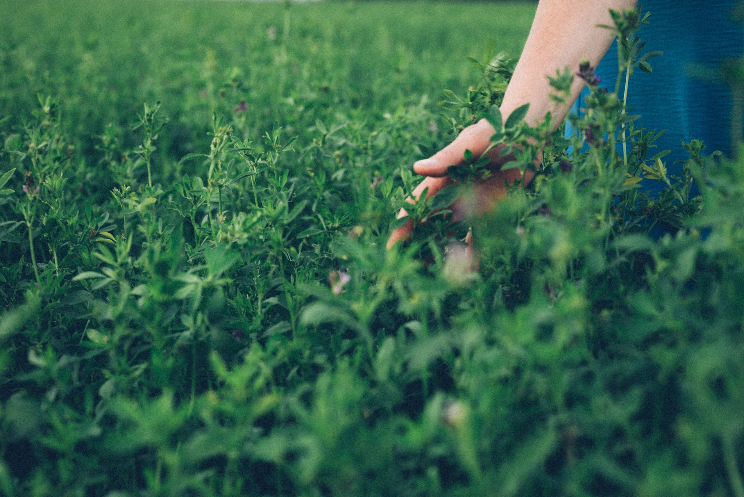 Женщина прекрасна в любом возрасте. Семейный фотограф в Минске Дарья Дреко