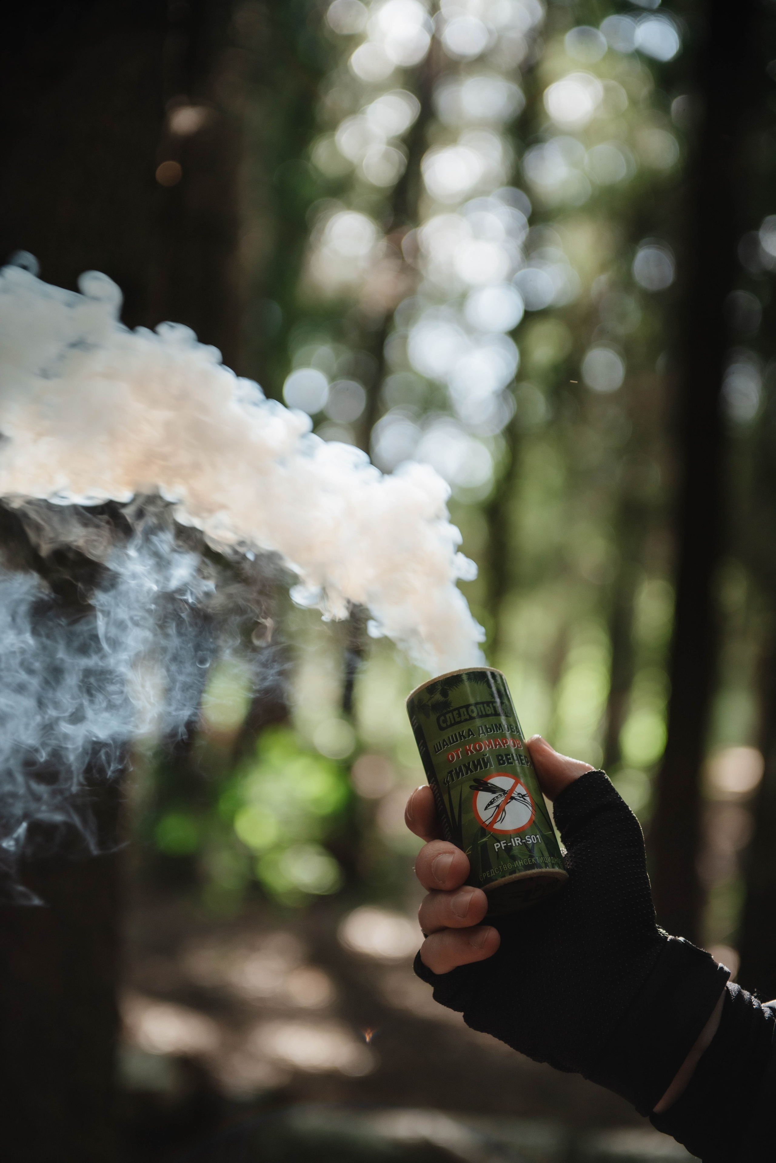 Каталог. Фотограф Фирсанова Алина