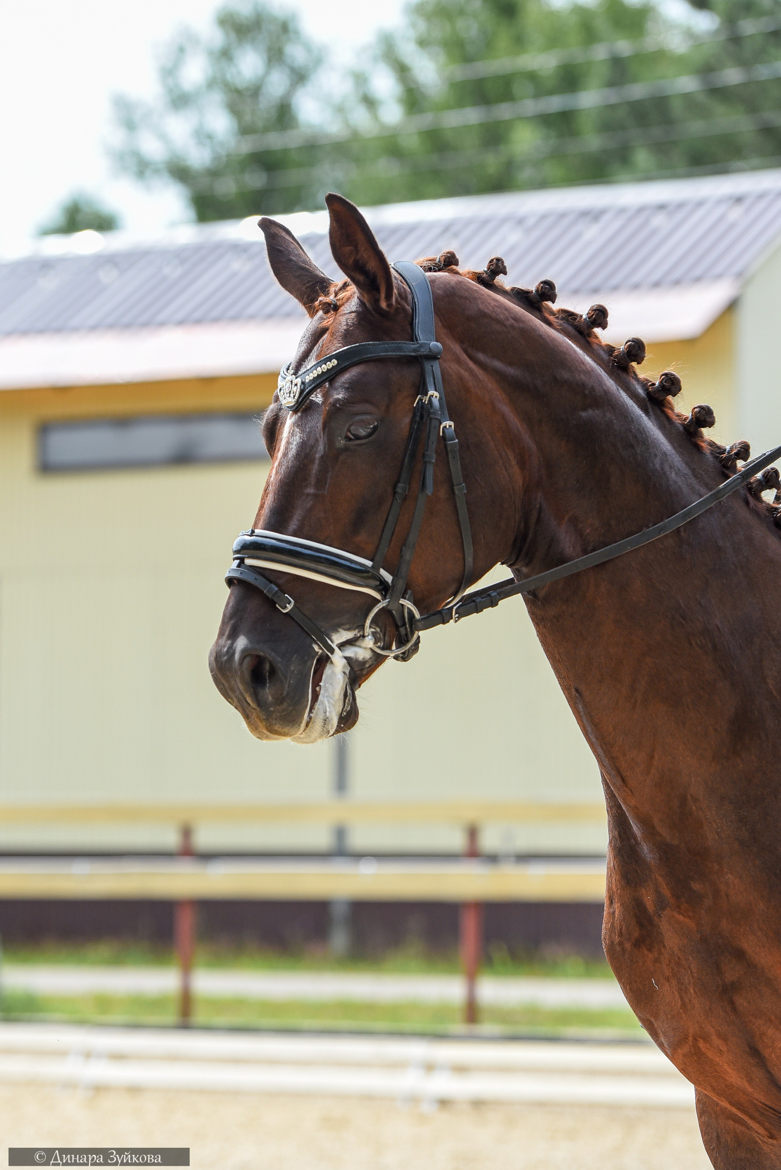 КЭК Ассамблея. Тесты, дети. Мотофотограф в Нижнем Новгороде Динара Зуйкова