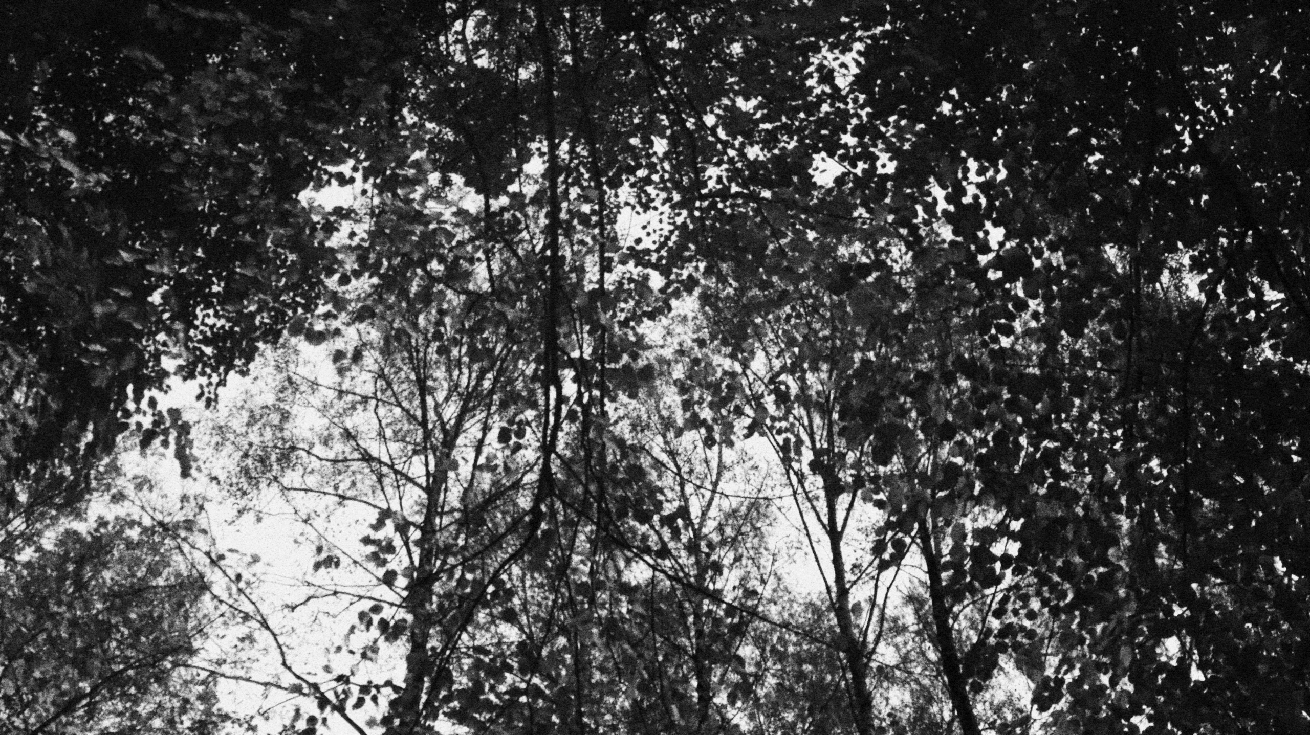 Street. Joseph Anton