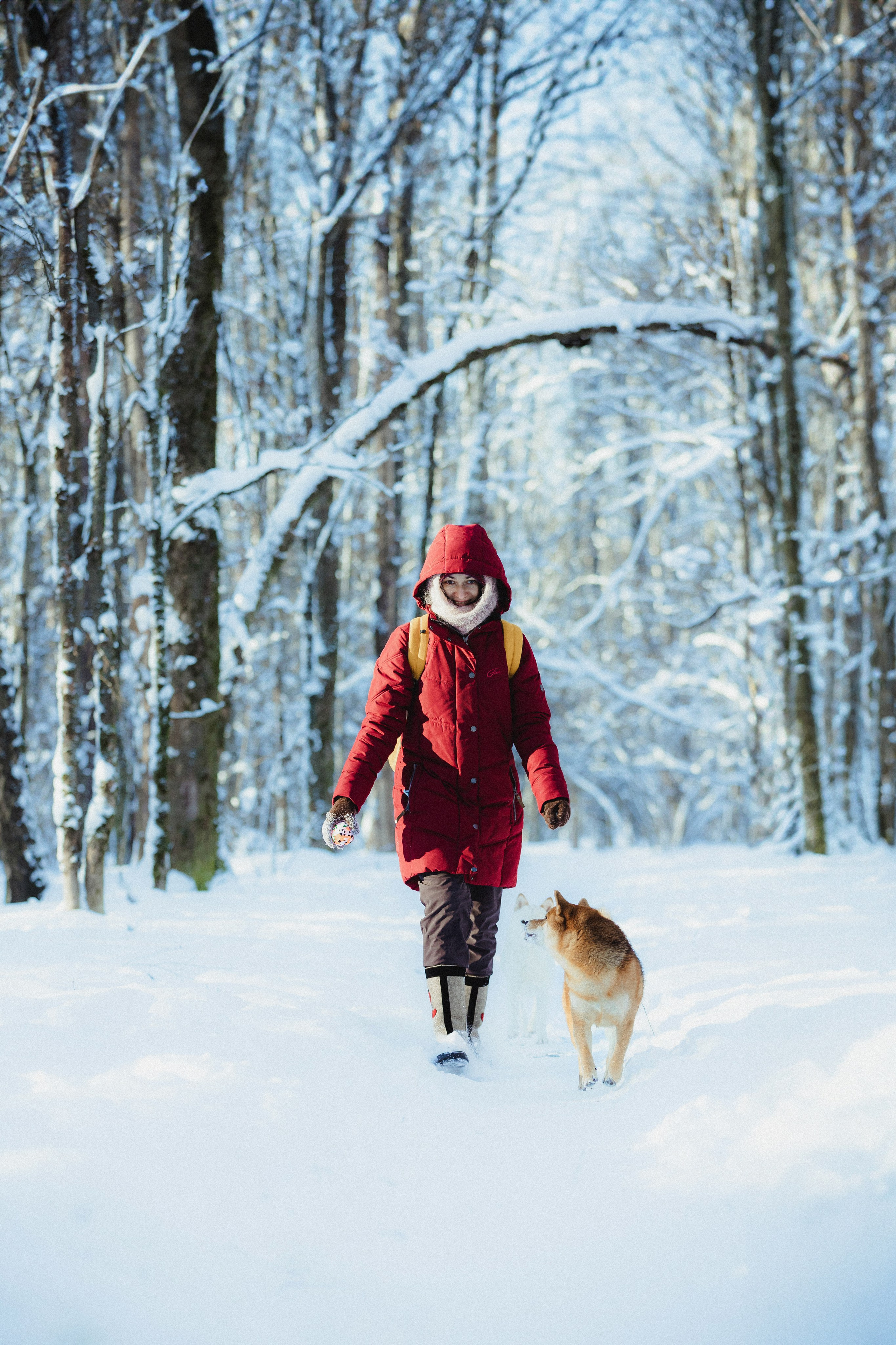 Шед, Цири и Ира