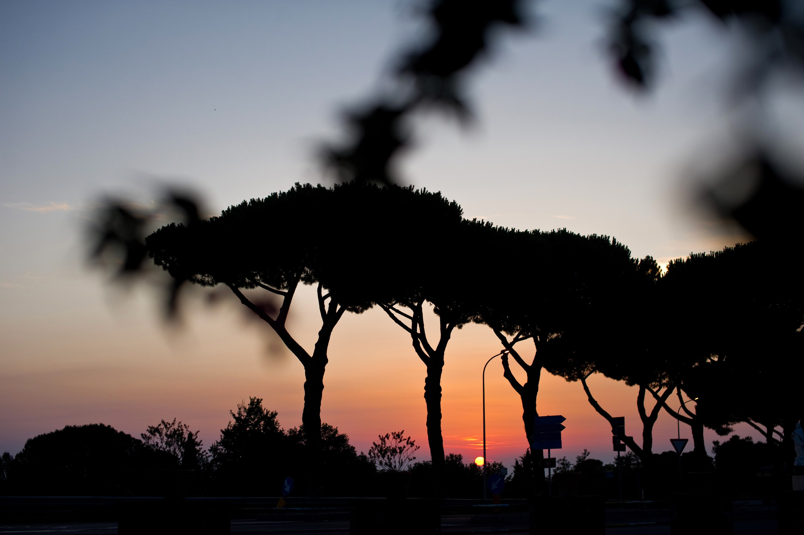 Любовь и Джанфранко. Свадьба в Риме. Семейный фотограф Анна Дубовская