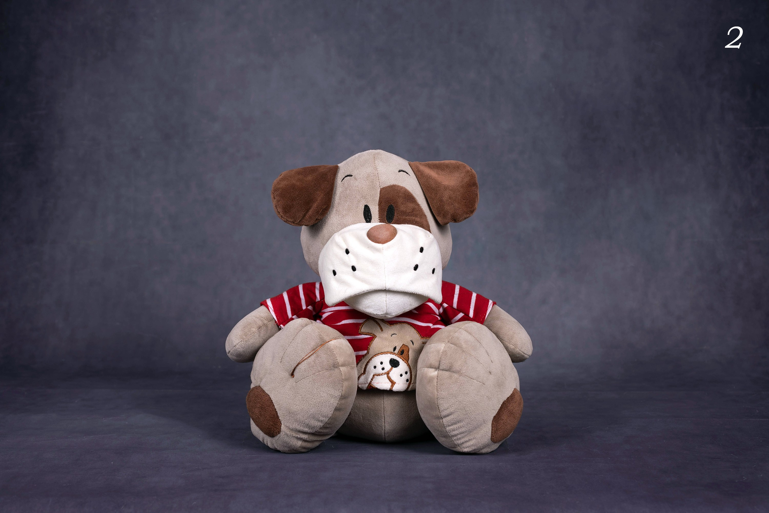 Фоны. Фотограф-анималист в Омске Екатерина Маричева