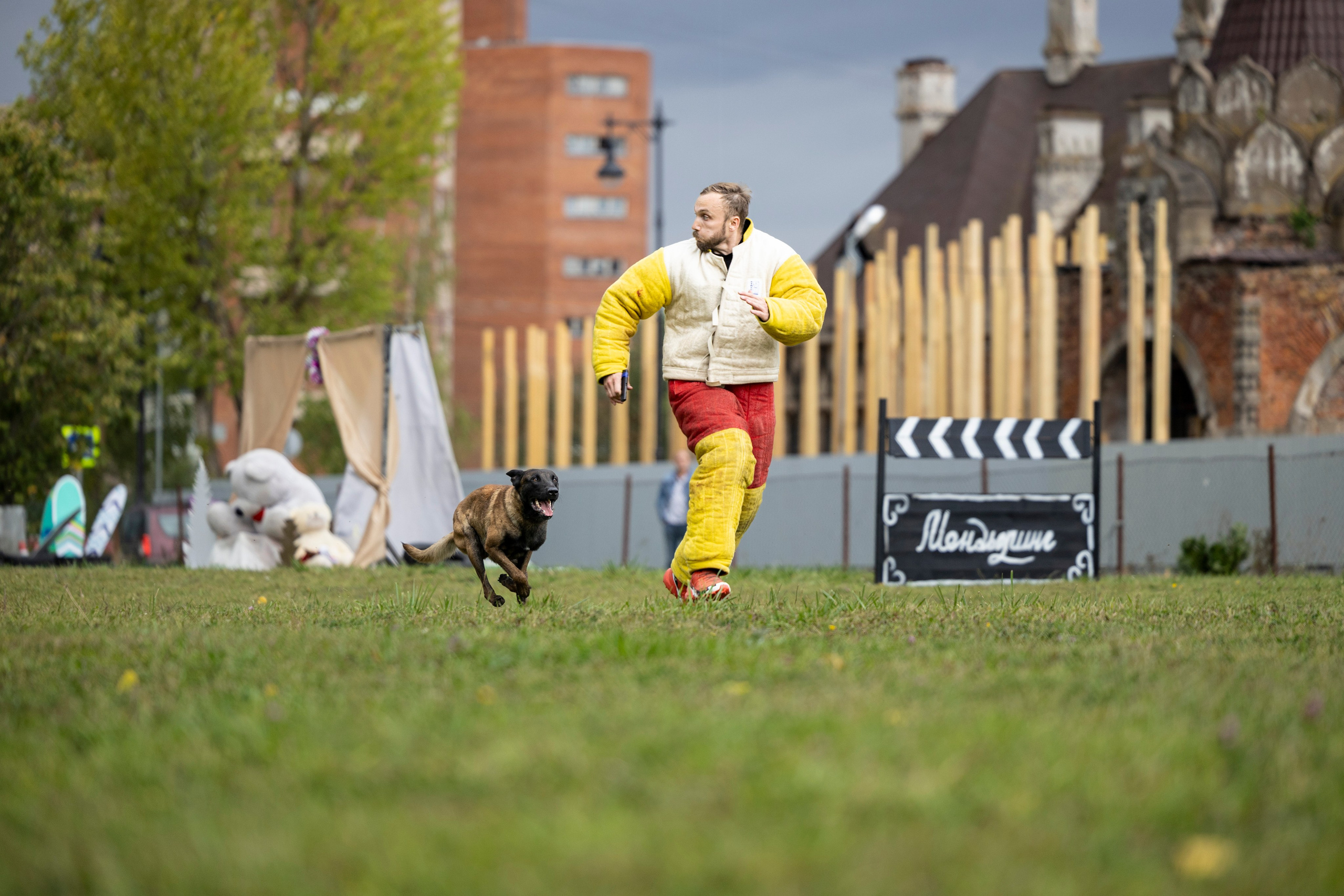 Испытания по Мондьорингу г. Пушкин. Фотограф-анималист Анна Маринич
