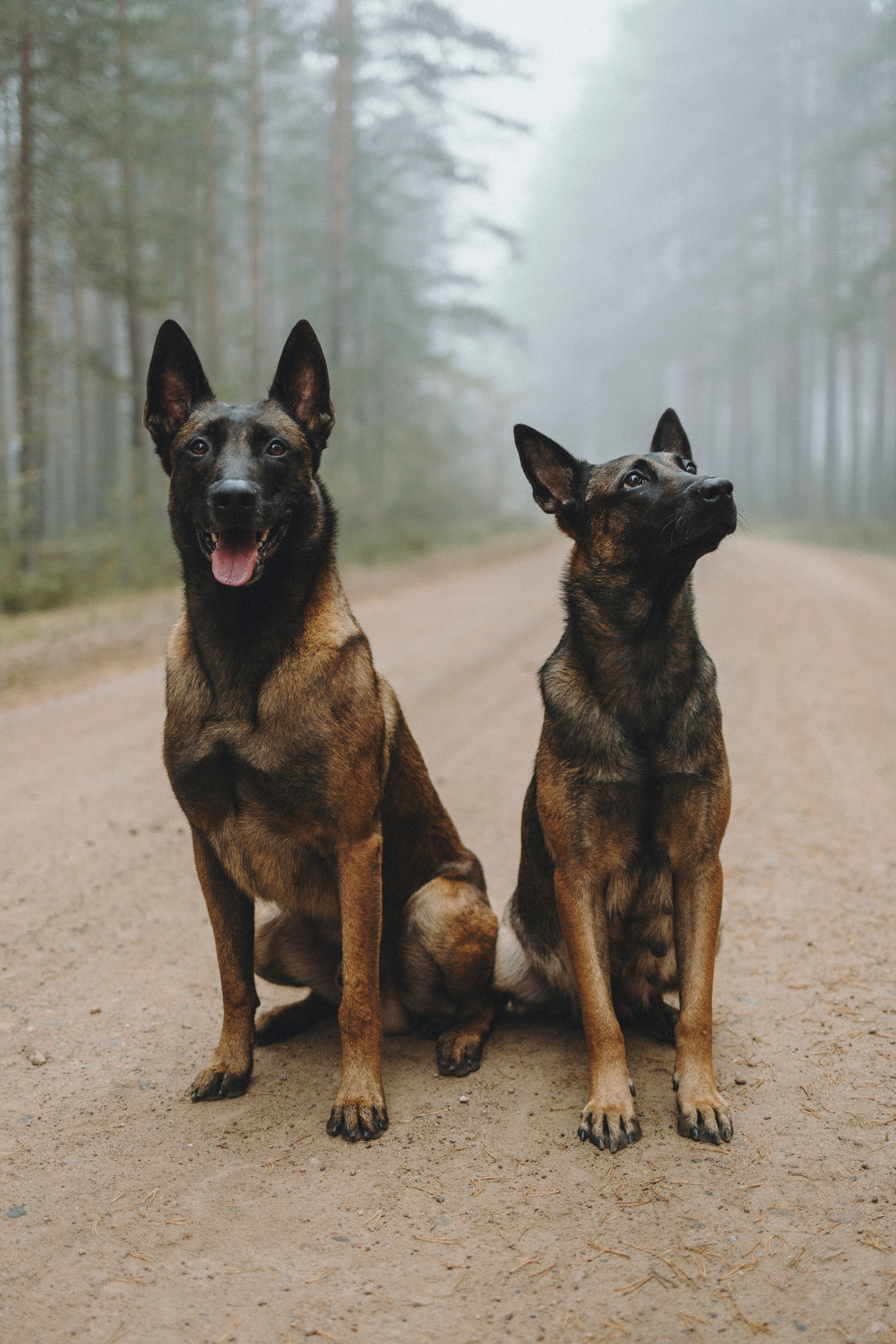 Рики и Цедра. Фотограф-анималист Анна Маринич