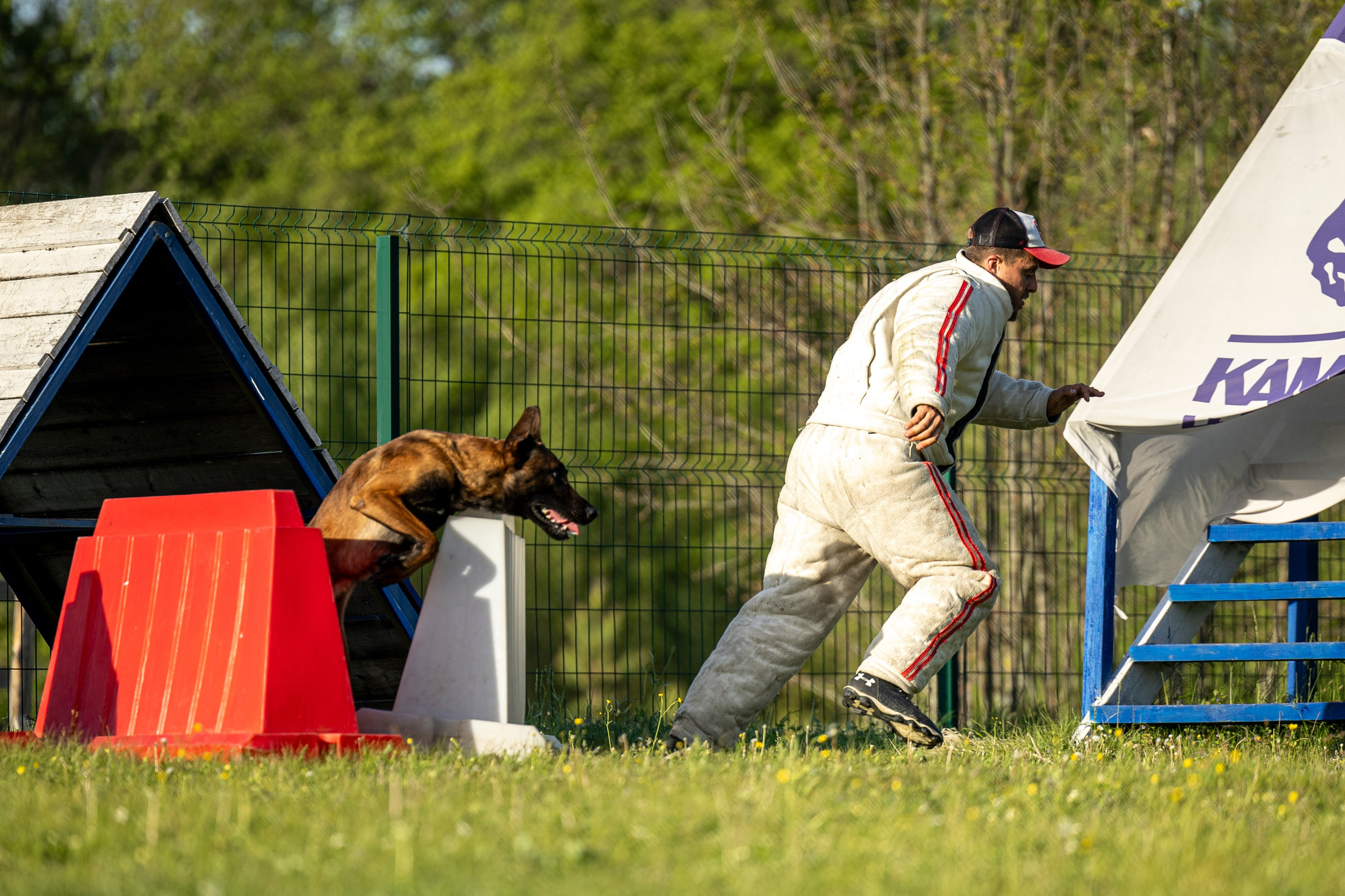 Испытания по мондьорингу в Нижнем Новгороде. Фотограф-анималист Анна Маринич