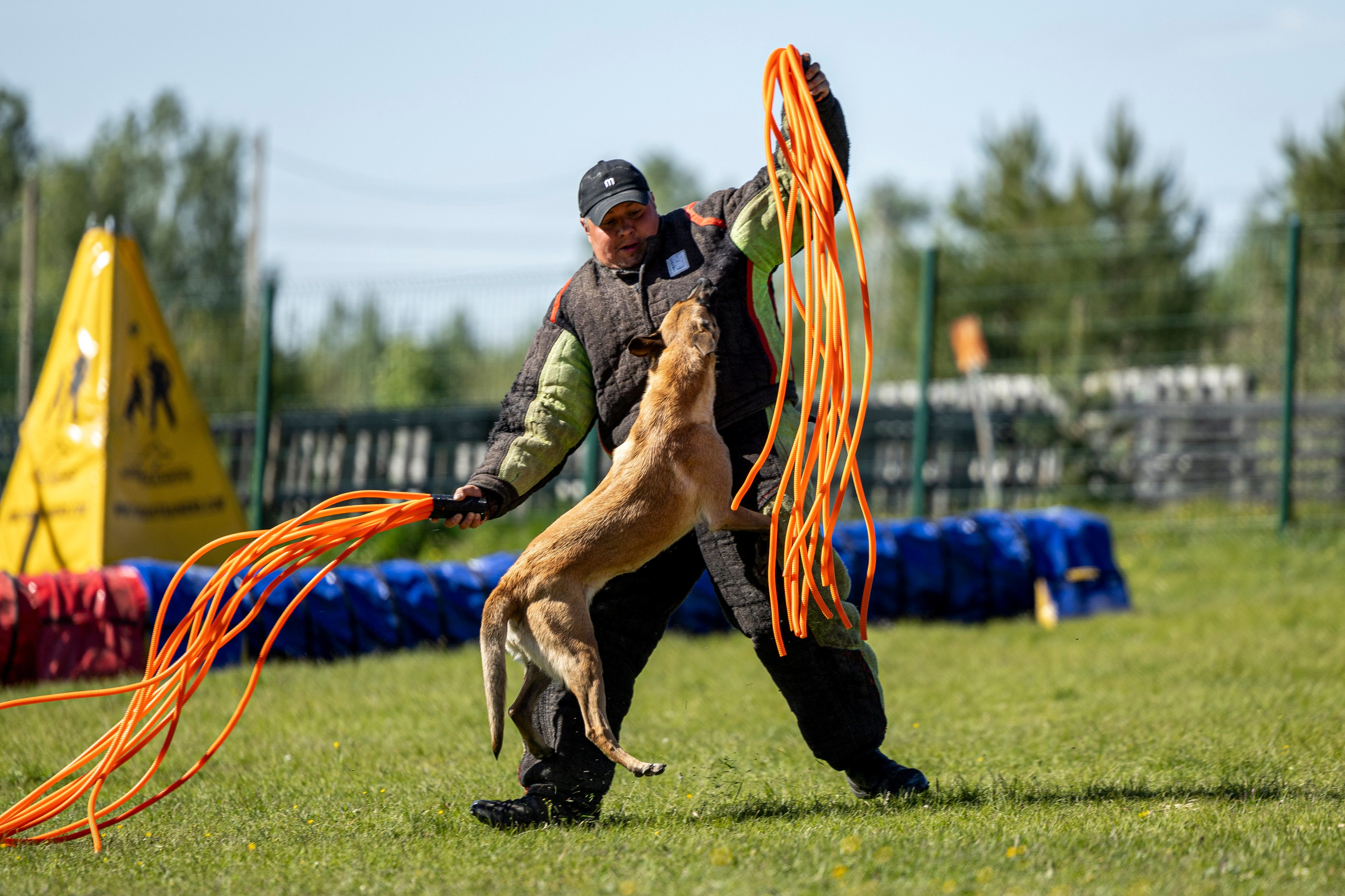 Испытания по мондьорингу в Нижнем Новгороде. Фотограф-анималист Анна Маринич