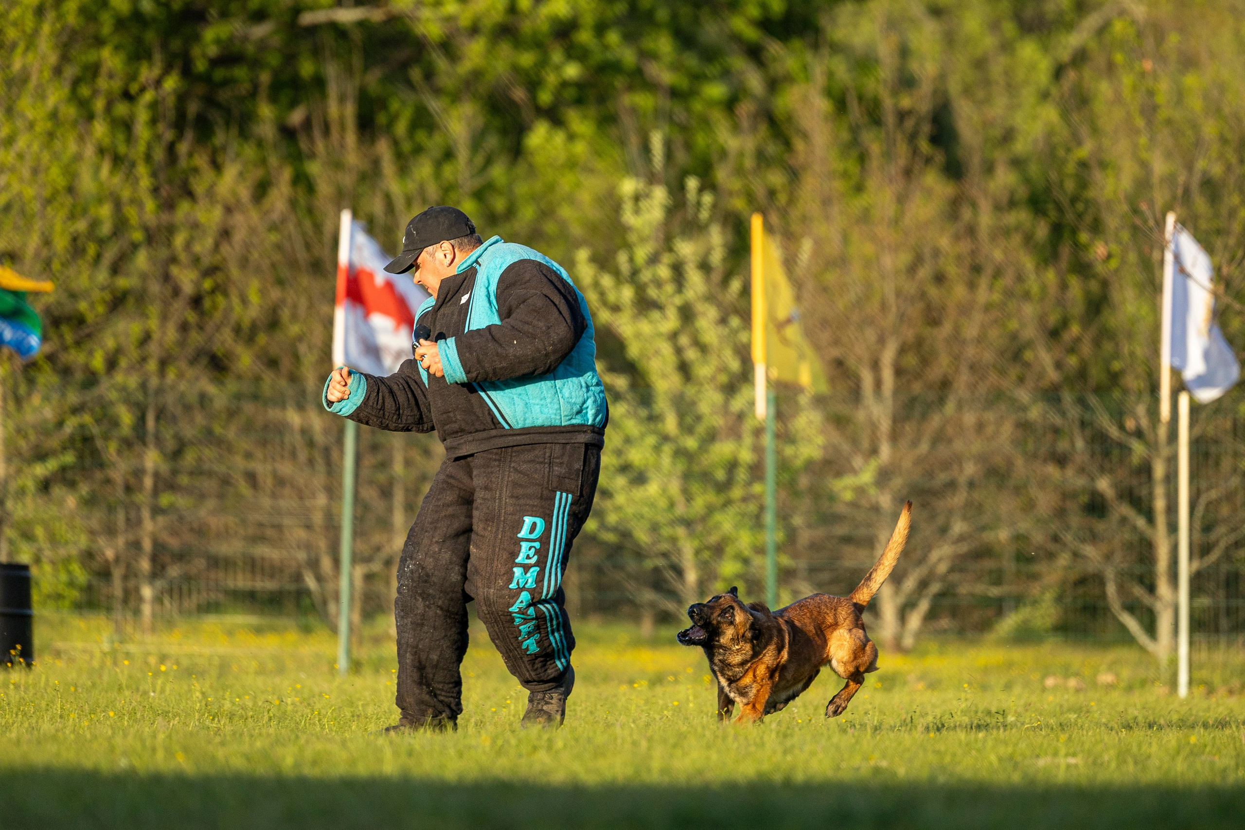 Испытания по мондьорингу в Нижнем Новгороде. Фотограф-анималист Анна Маринич